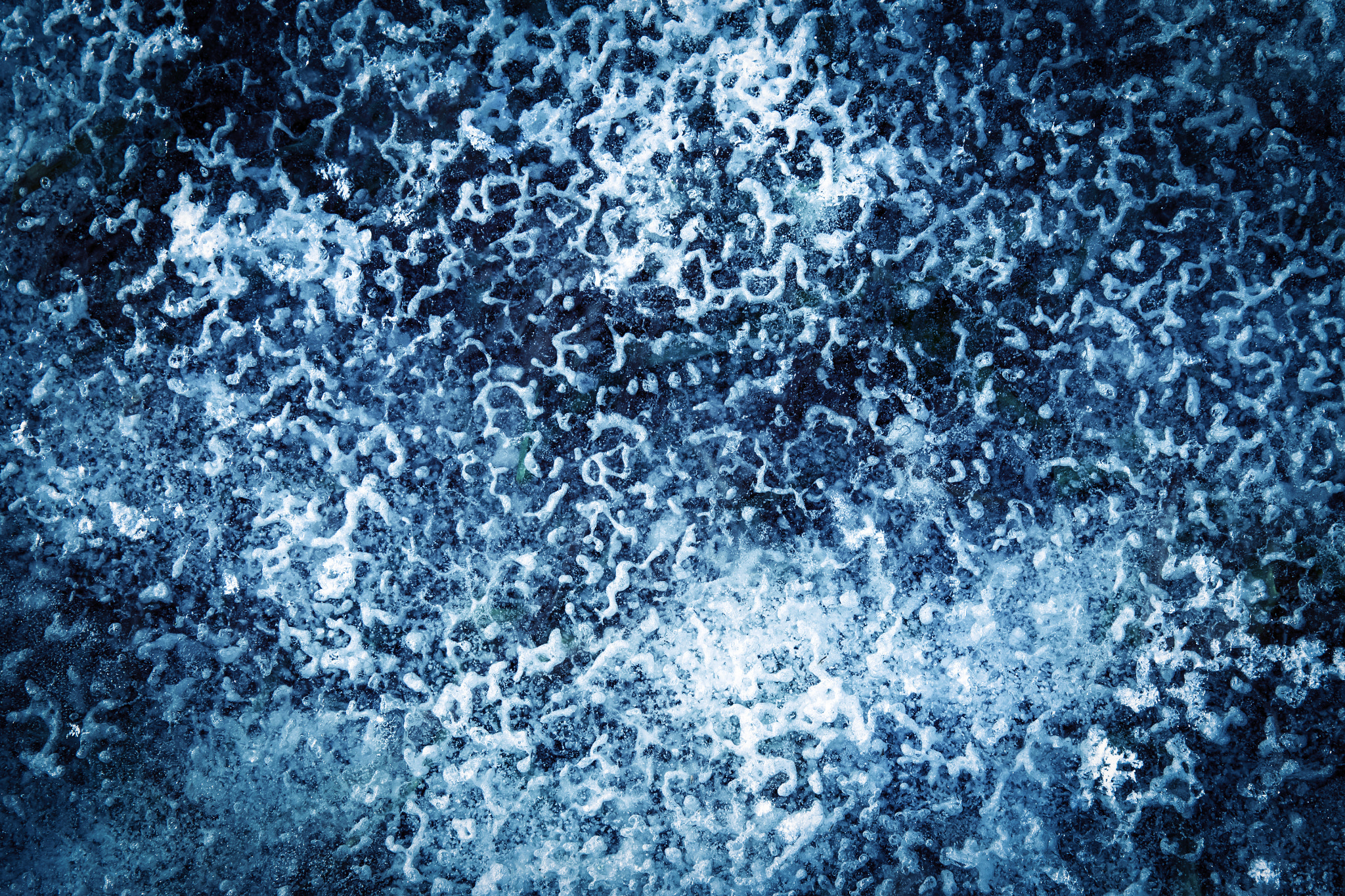 Nikon D5500 sample photo. A frozen water puddle photography