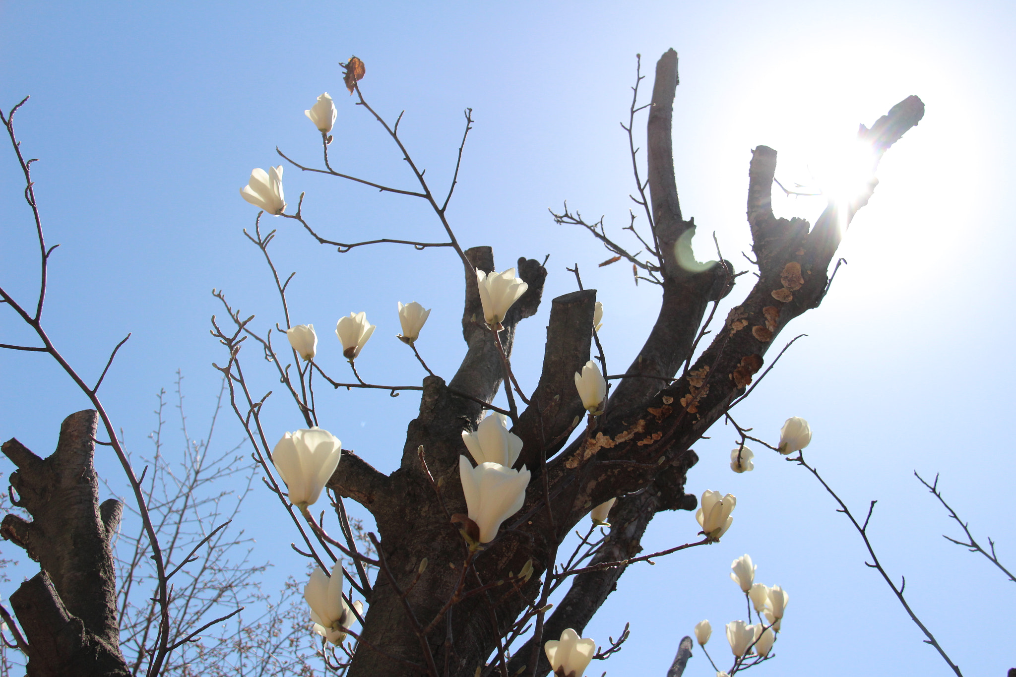 Canon EF-S 18-200mm F3.5-5.6 IS sample photo. 무질서속의```생명력 또한 예쁘다^^ photography
