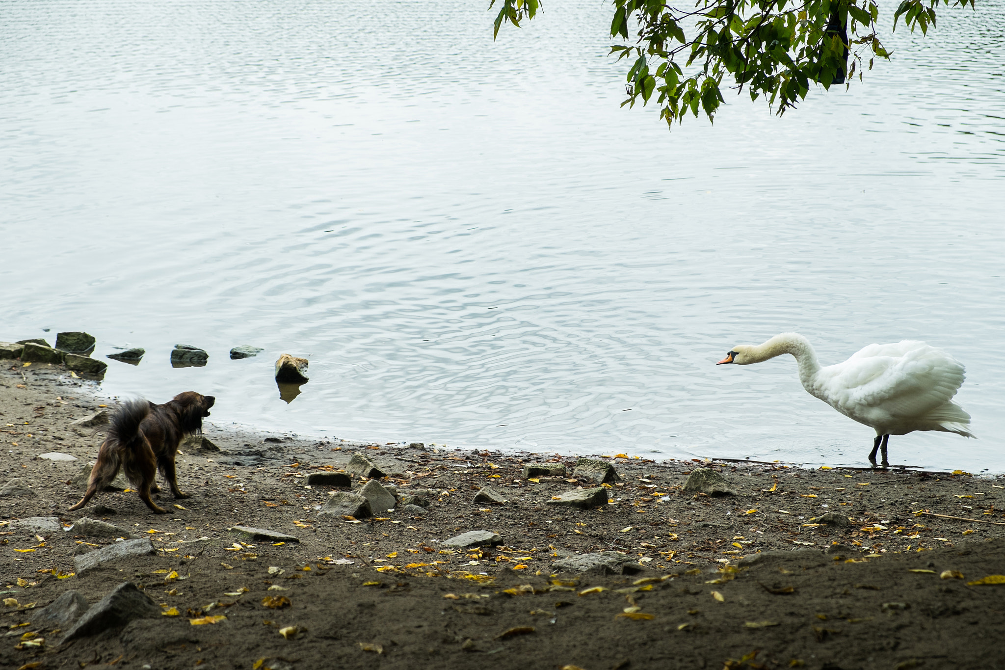 Fujifilm X-Pro1 + Fujifilm XF 18-55mm F2.8-4 R LM OIS sample photo. Streit photography