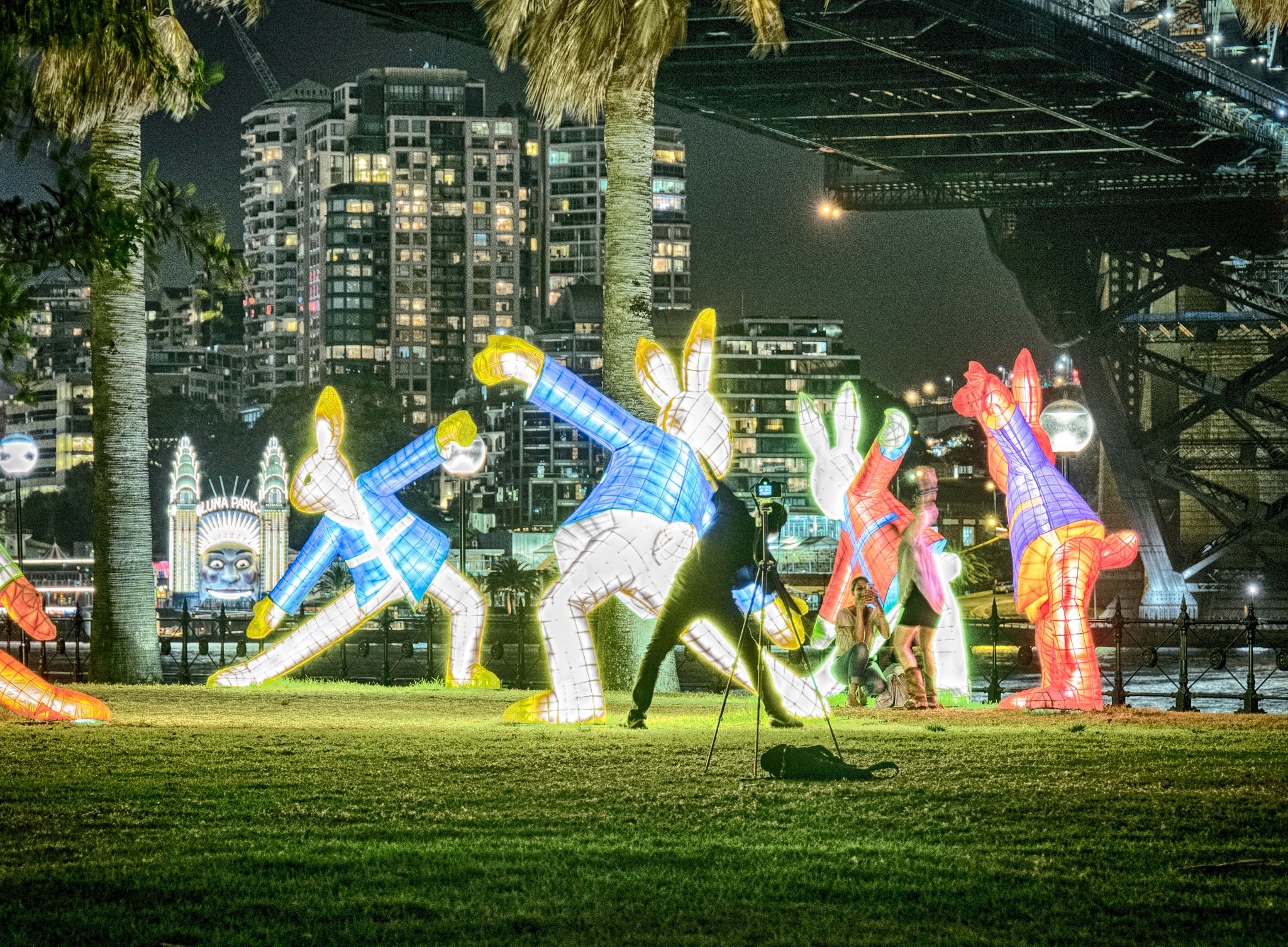 VARIO-ELMARIT 1:2.8-4.0/24-90mm ASPH. OIS sample photo. Sydney -chinese new year- 2017 photography