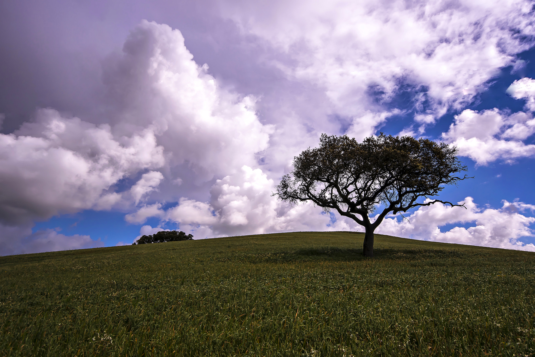 Sigma 10-20mm F4-5.6 EX DC HSM sample photo. Alentejo photography