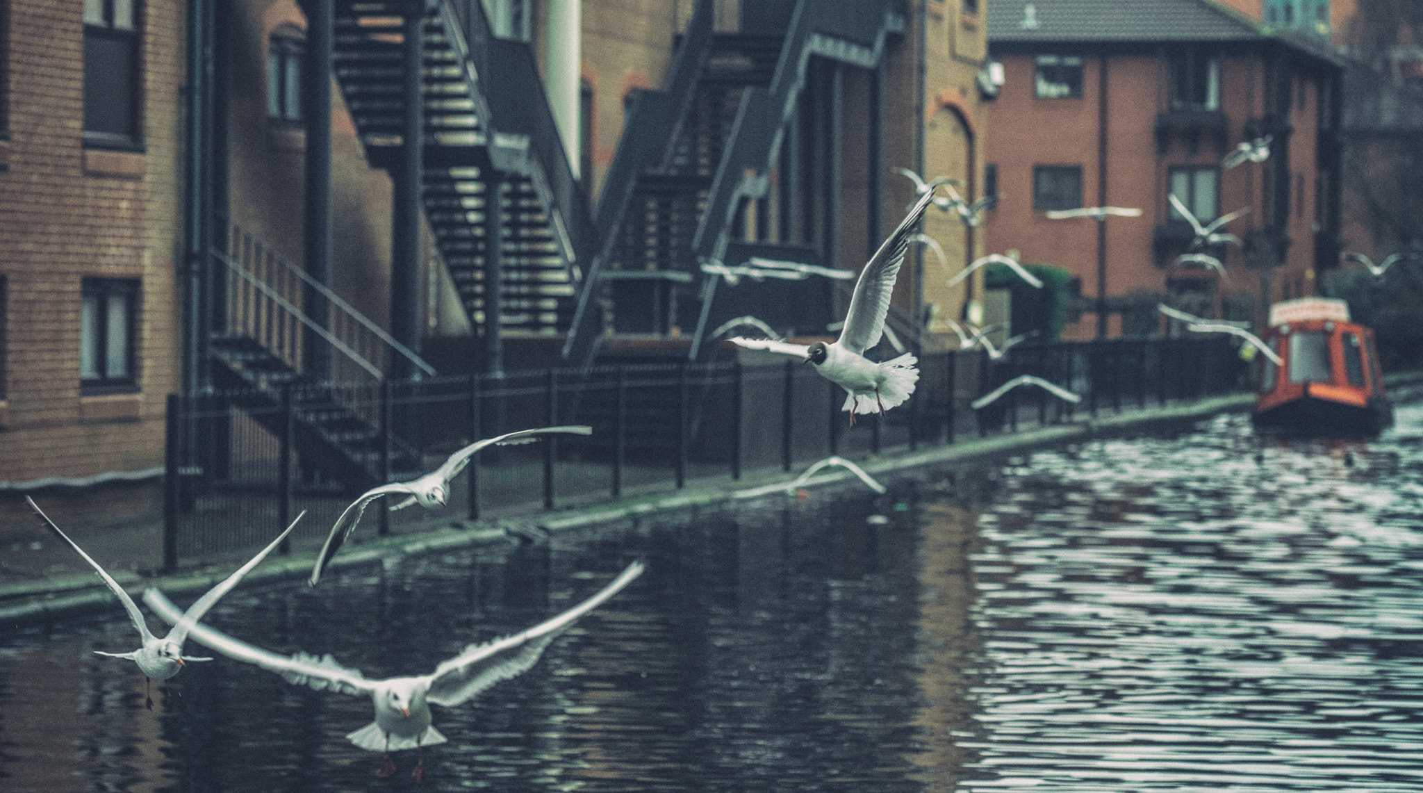 Fujifilm X-T2 + Fujifilm XF 90mm F2 R LM WR sample photo. Birmingham canals 2 photography
