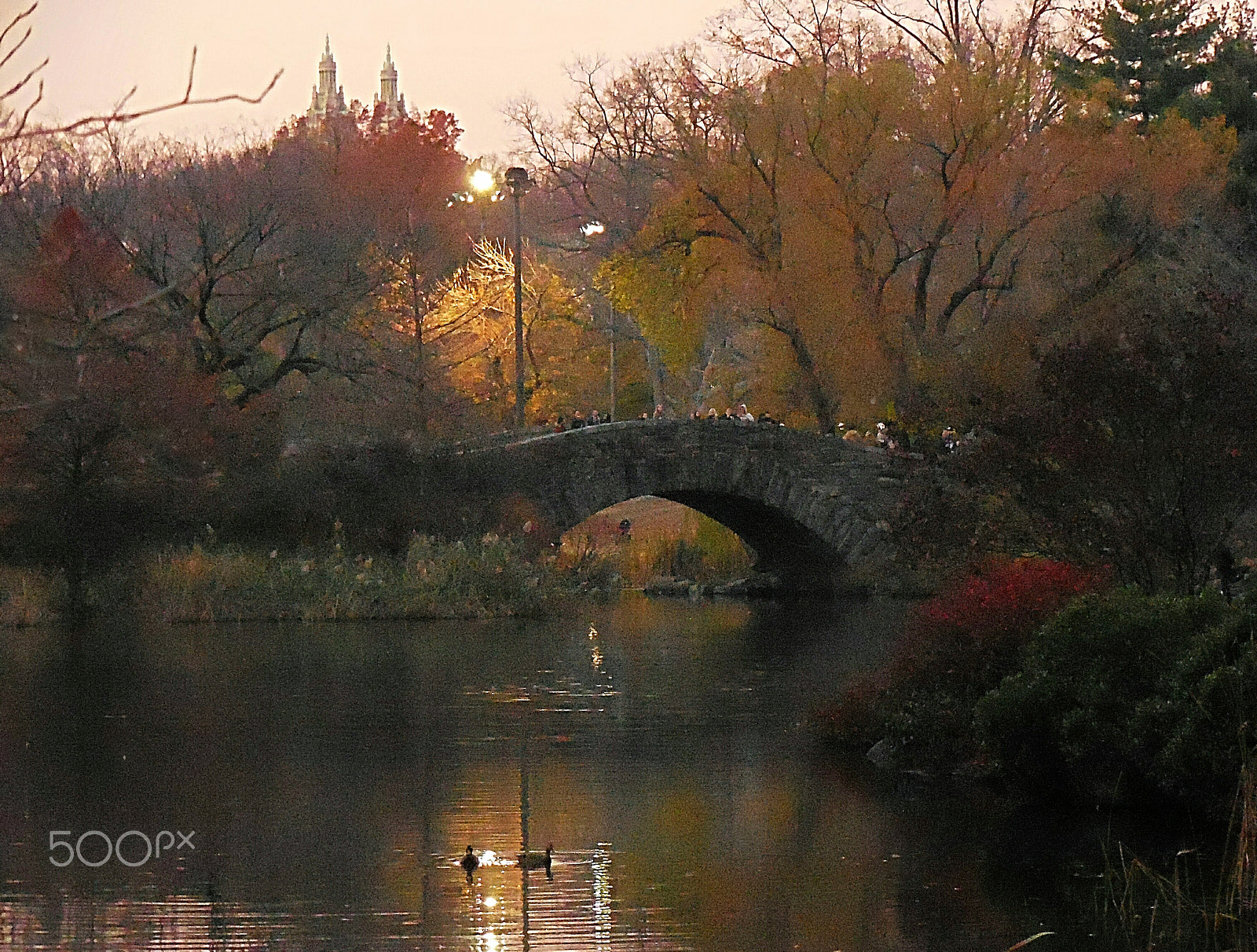 Nikon Coolpix S6800 sample photo. Central park nyc  photography