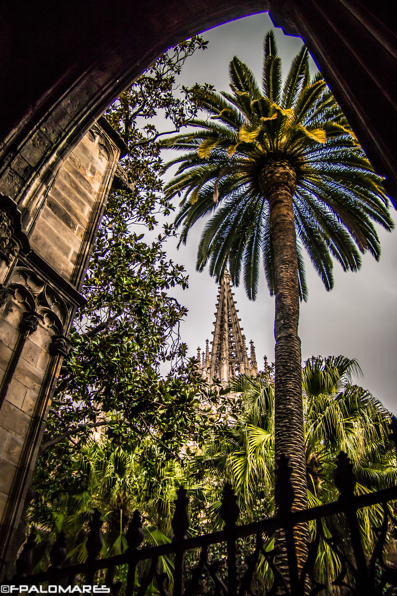 Sigma 18-50mm f/2.8 Macro sample photo. Catedral de barcelona photography
