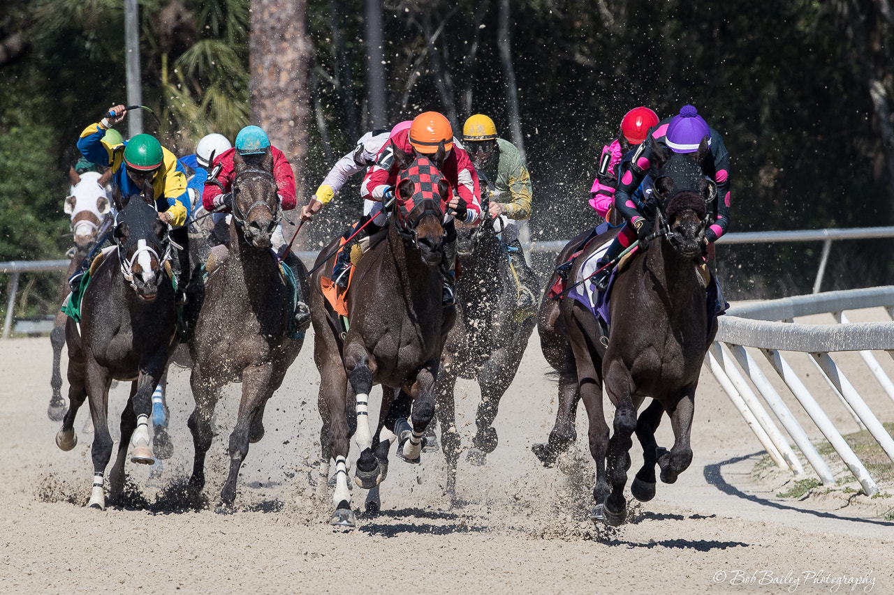Canon EF 300mm F2.8L IS II USM sample photo. Heading for the finish photography