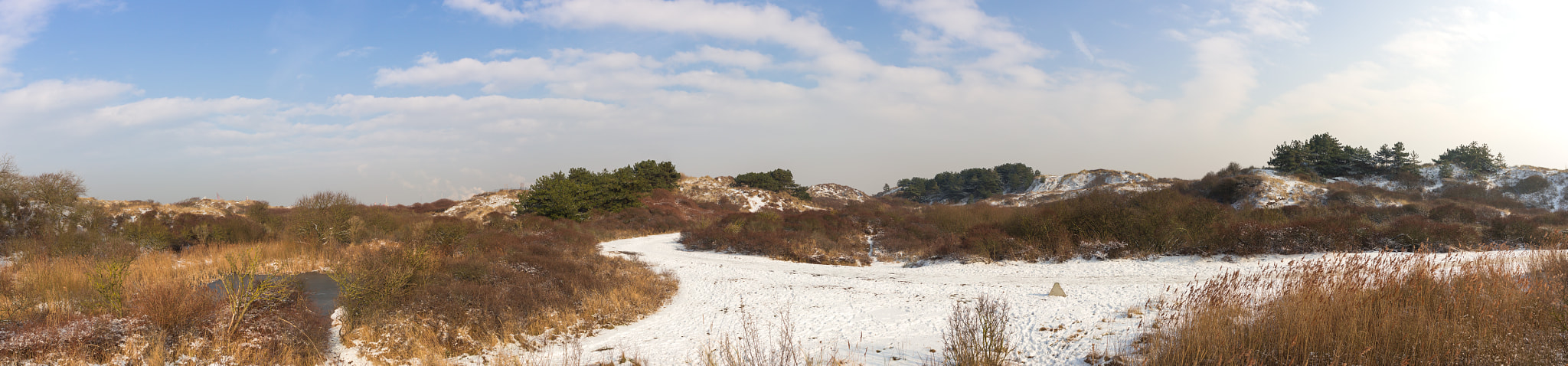 Canon EOS 600D (Rebel EOS T3i / EOS Kiss X5) + Sigma 24-70mm F2.8 EX DG Macro sample photo. Pano winter landscape photography