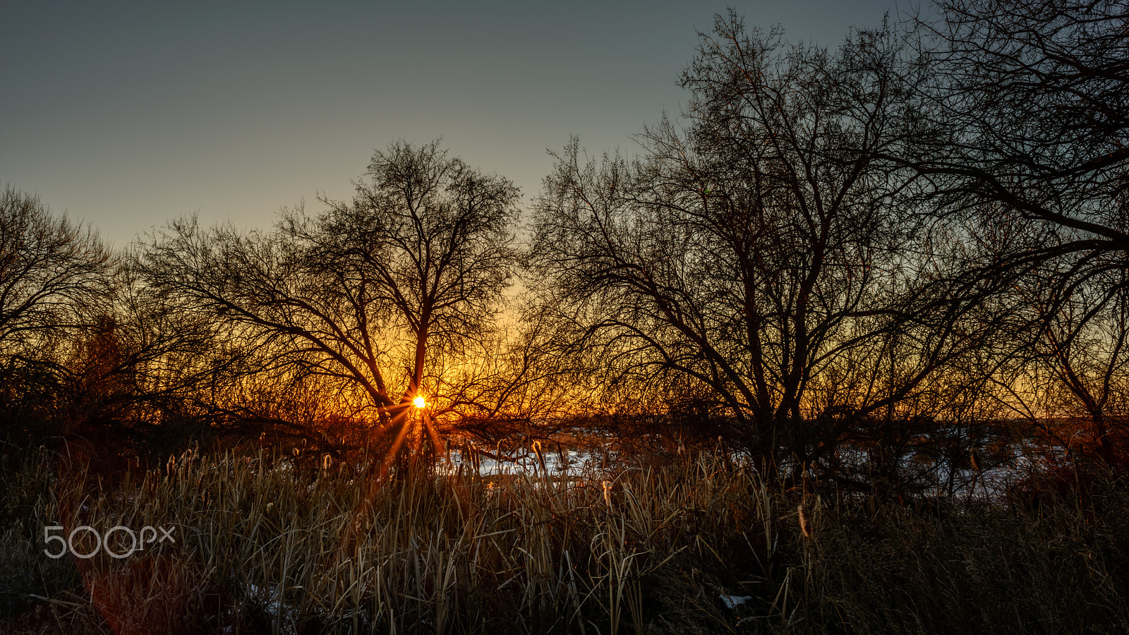 Nikon D800 sample photo. Shadows and light photography