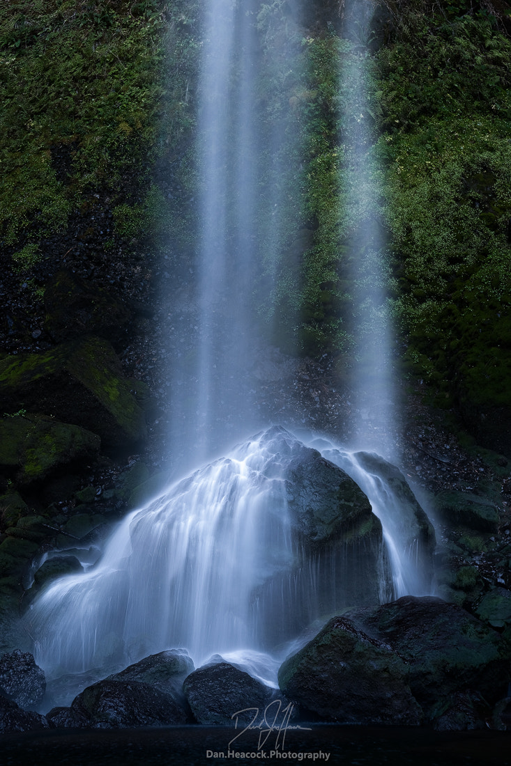 Nikon D800 sample photo. Terminus photography