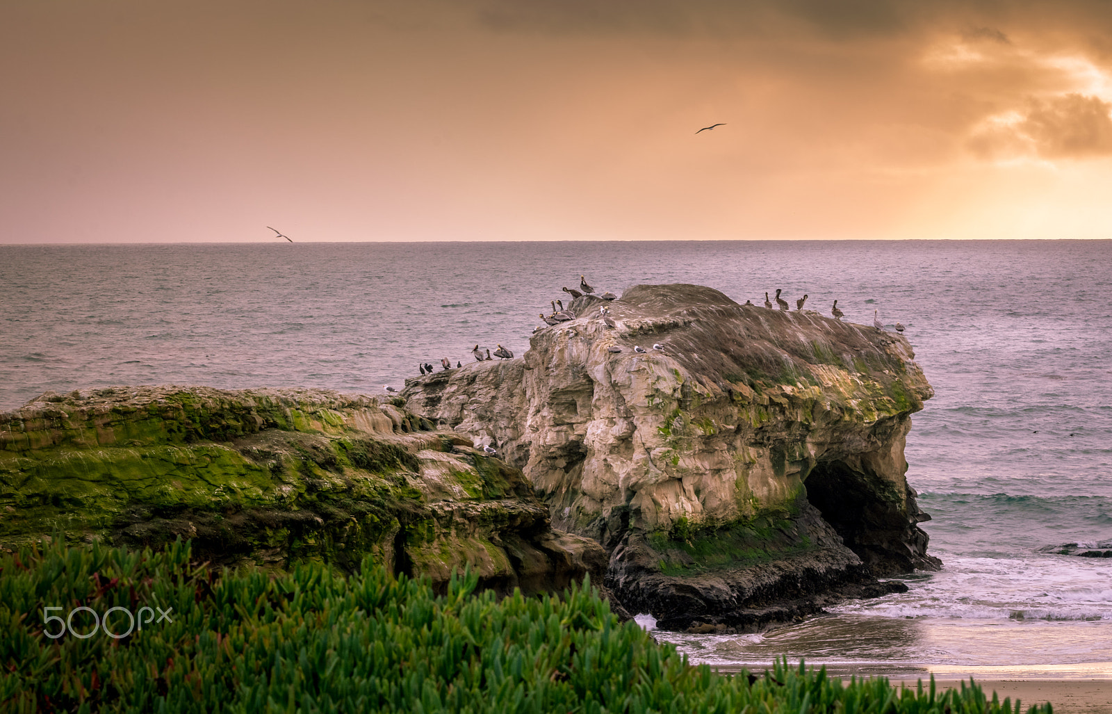 Nikon AF-S Nikkor 70-200mm F4G ED VR sample photo. Beautiful california photography