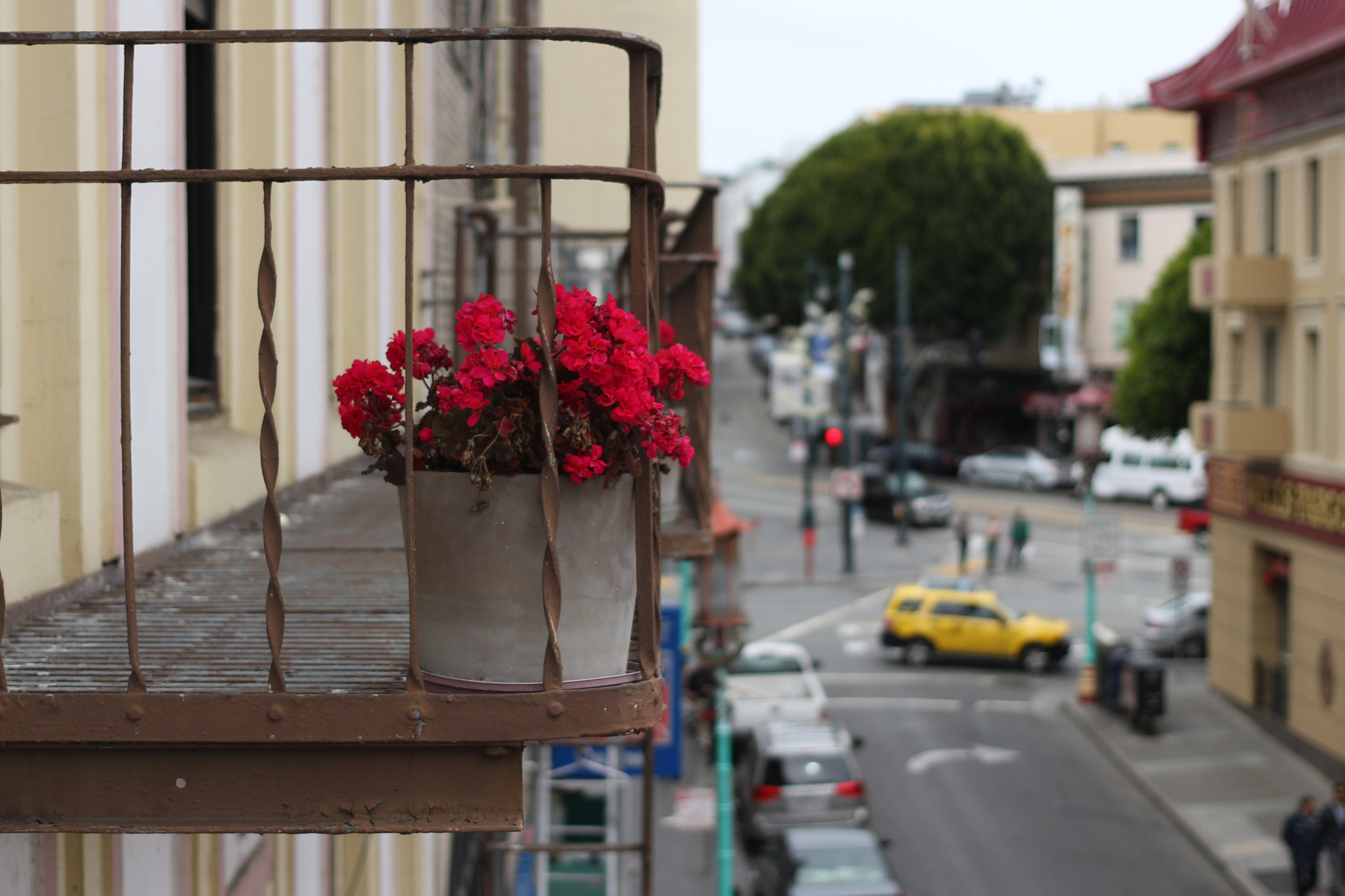 Canon EOS 100D (EOS Rebel SL1 / EOS Kiss X7) + Canon EF 40mm F2.8 STM sample photo. China town flower pot photography