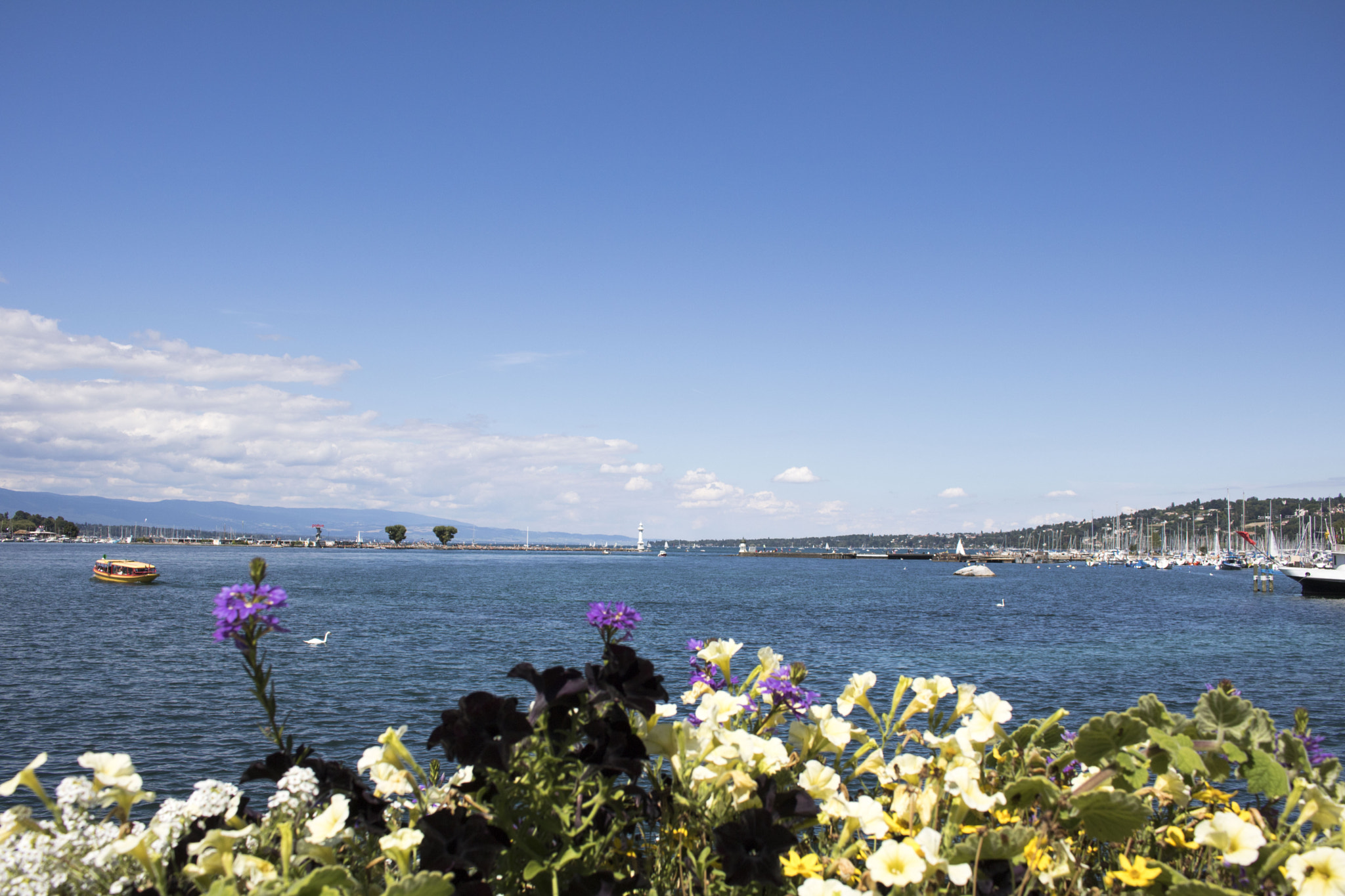 Canon EOS 760D (EOS Rebel T6s / EOS 8000D) sample photo. Genève photography