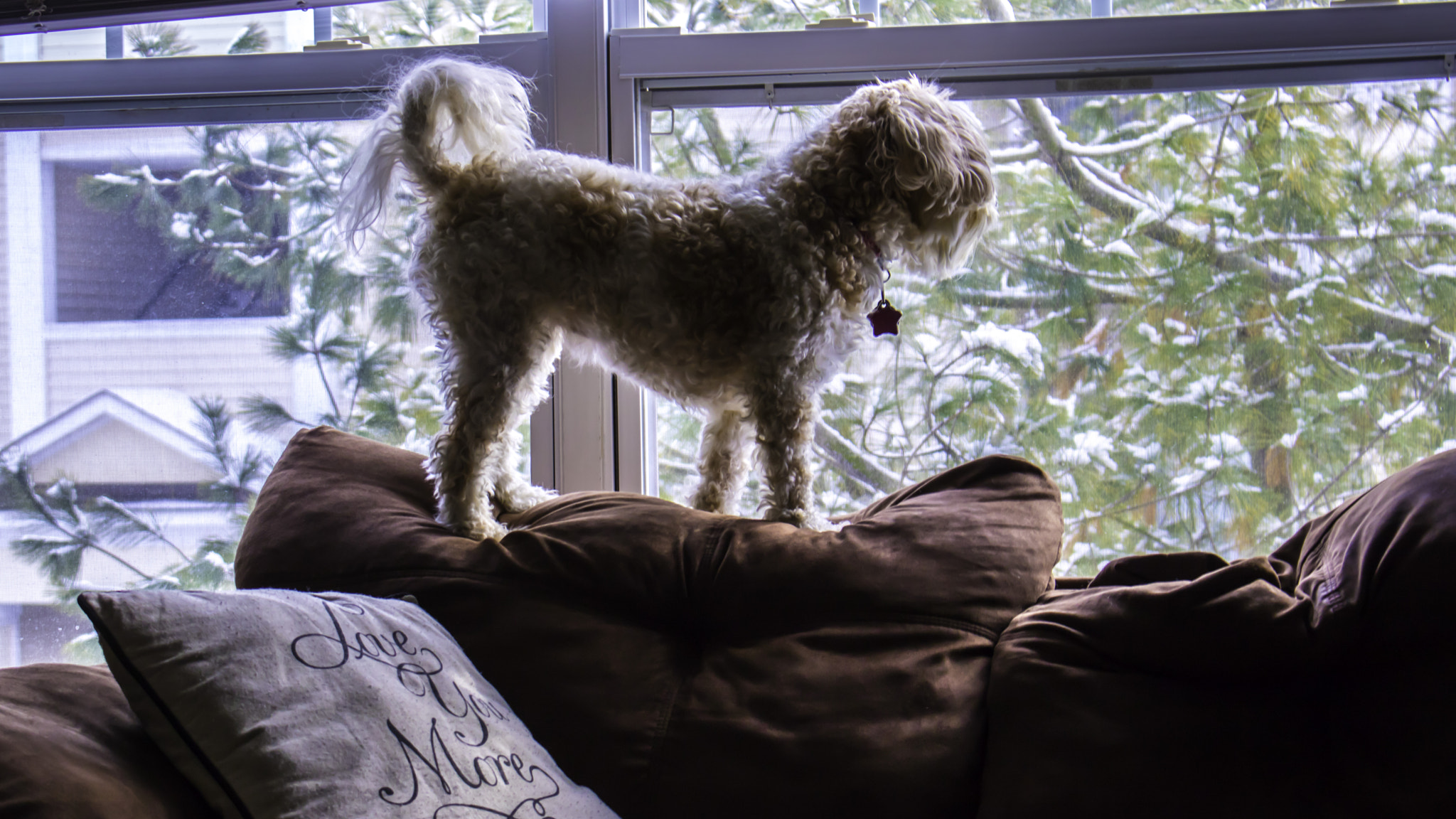 Canon EOS 760D (EOS Rebel T6s / EOS 8000D) sample photo. Wishful thinking... photography