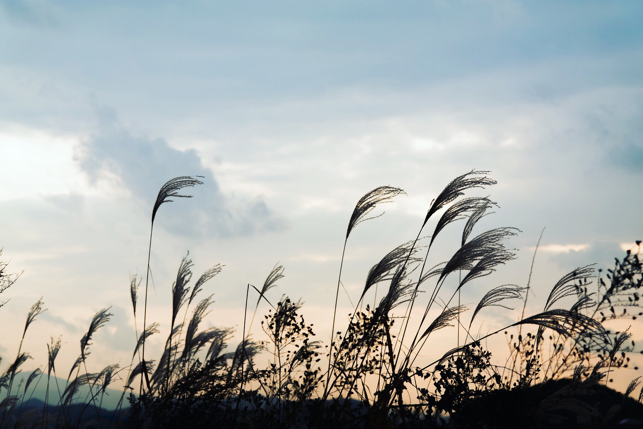 Samsung NX 18-55mm F3.5-5.6 OIS sample photo