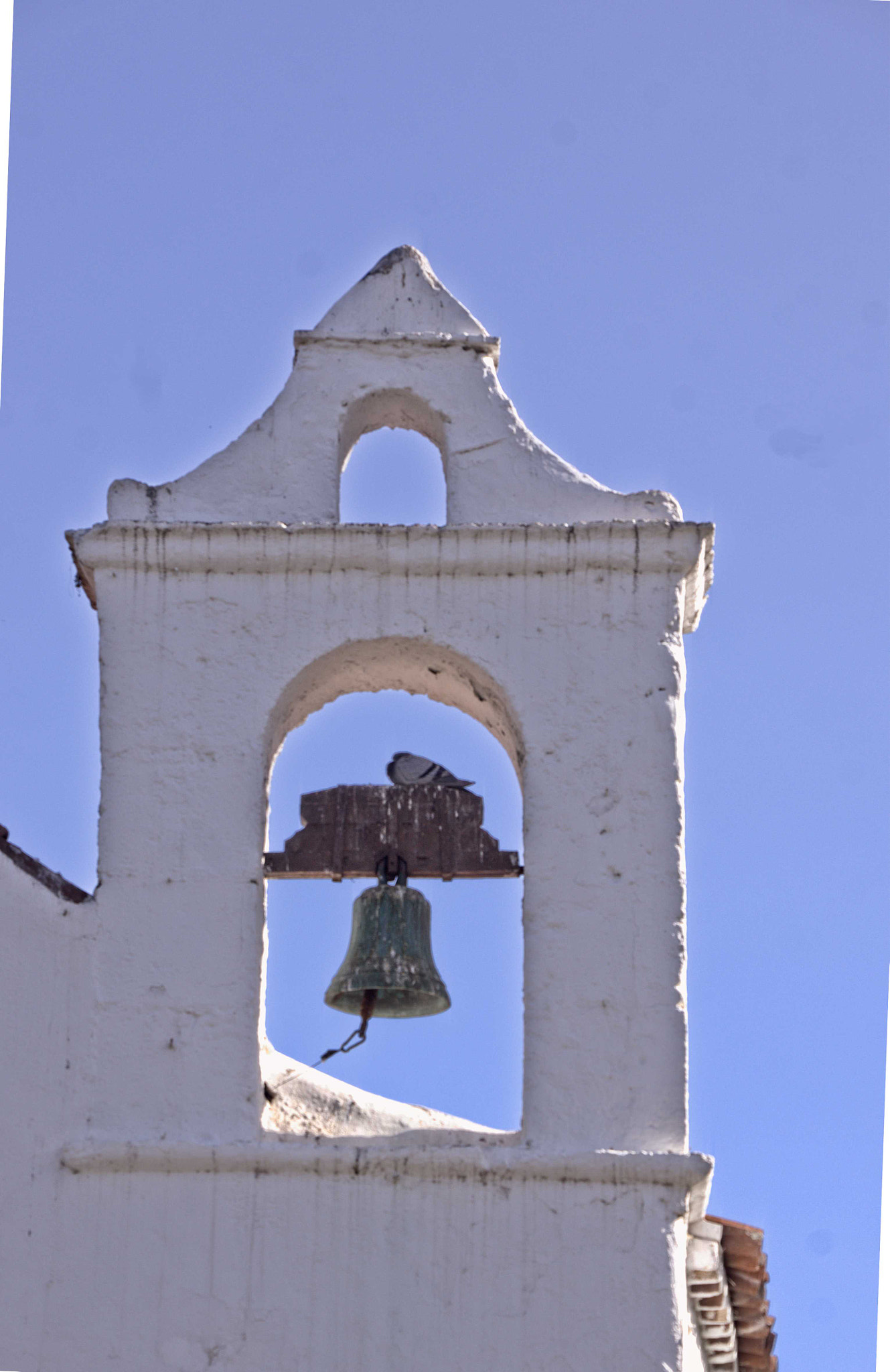Sony SLT-A55 (SLT-A55V) sample photo. Puerto de la cruz 7 photography