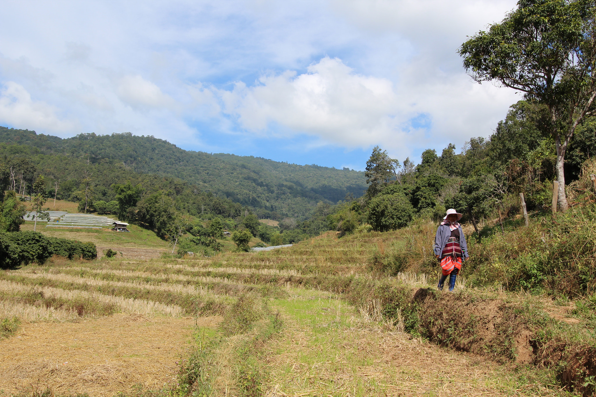 Canon EF-S 10-22mm F3.5-4.5 USM sample photo. Rice terrace photography