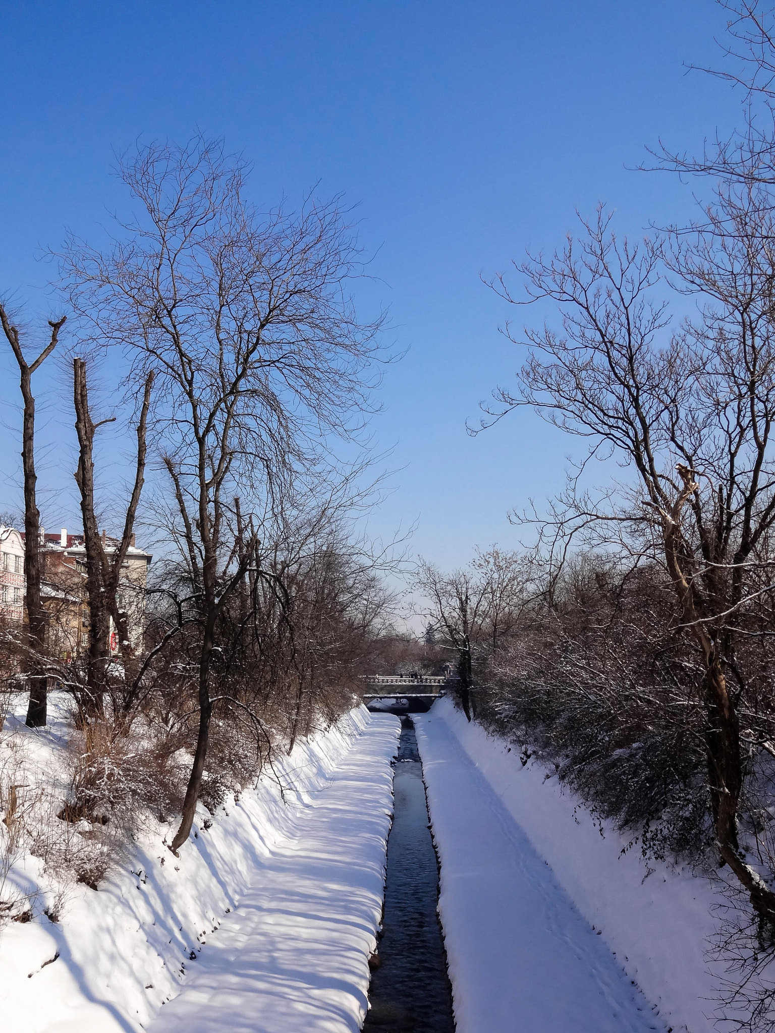 Sony DSC-WX100 sample photo. The winter river photography