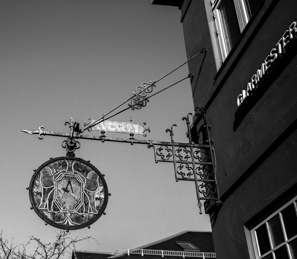 Summicron-M 1:2/35 ASPH. sample photo. Worm photography