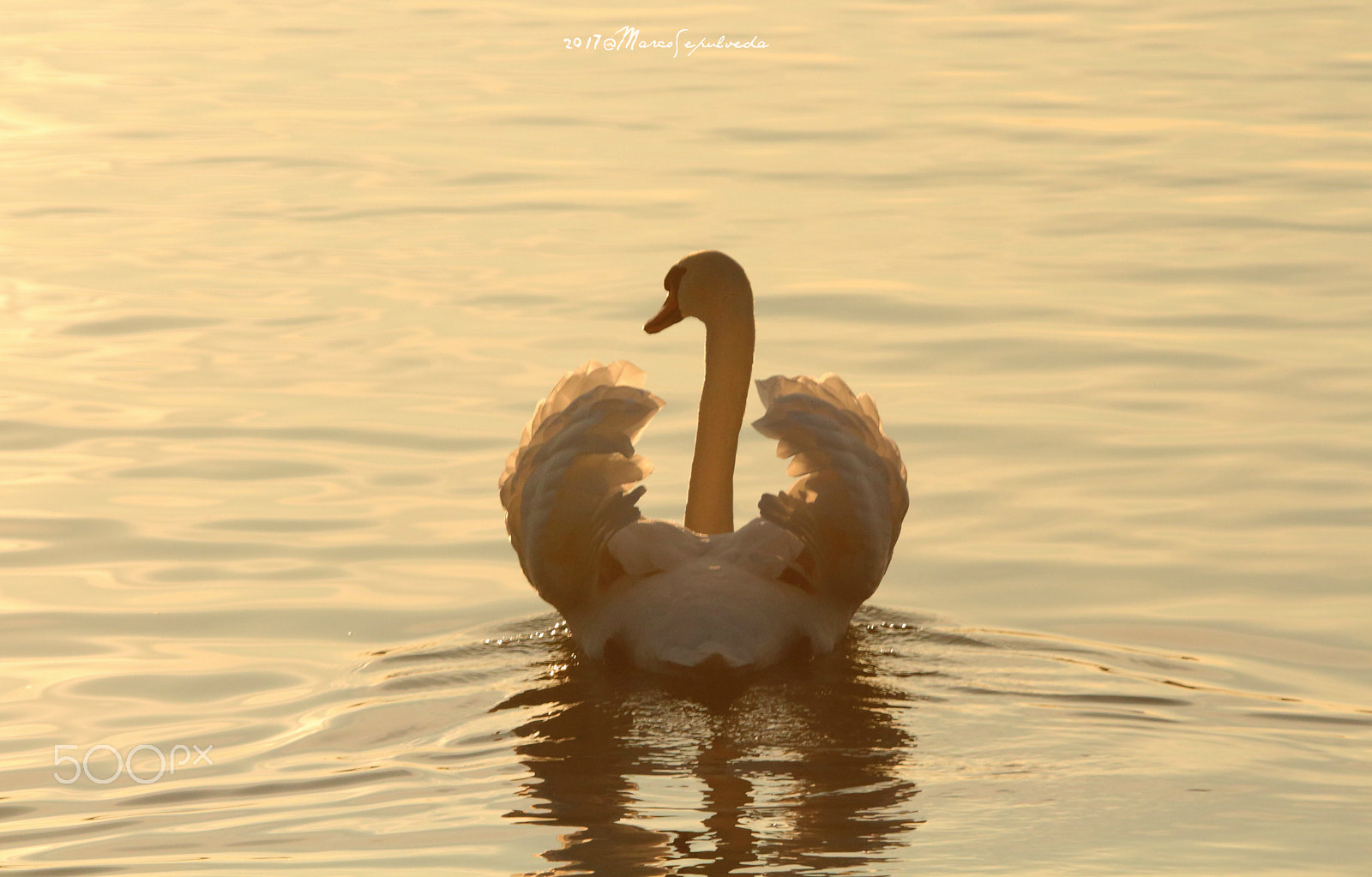 Tamron SP 150-600mm F5-6.3 Di VC USD sample photo. Winter sunset photography