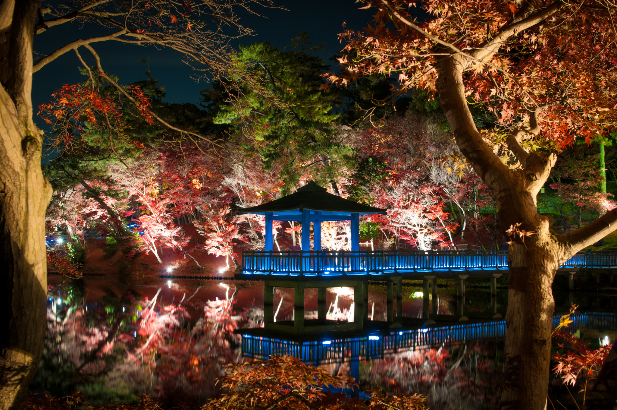 Nikon AF-S Nikkor 24-70mm F2.8G ED sample photo. Park in autumn season.japan photography