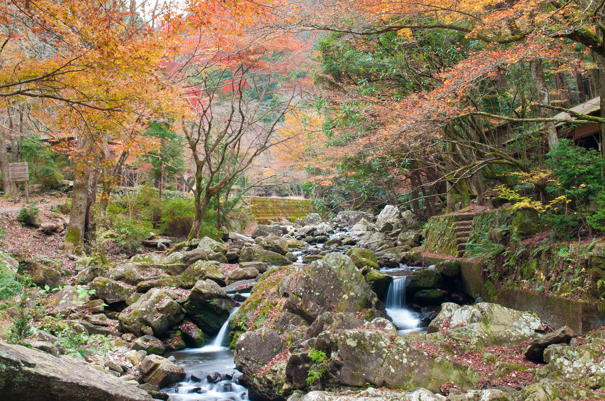 Nikon AF-S Nikkor 24-70mm F2.8G ED sample photo. Waterfall in kuragari park.autumn season.japan photography