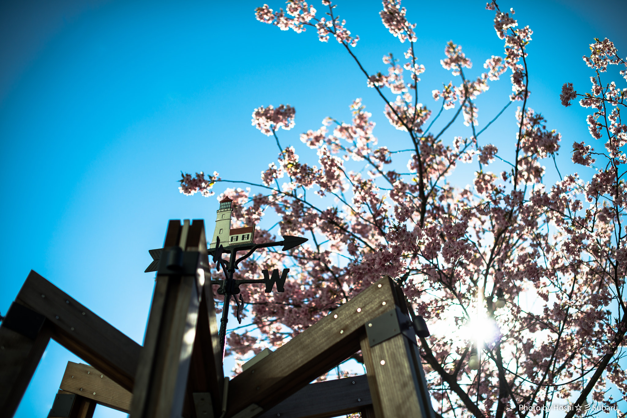 Nikon D800E + Nikon AF-S Nikkor 50mm F1.4G sample photo. How is the wind? photography