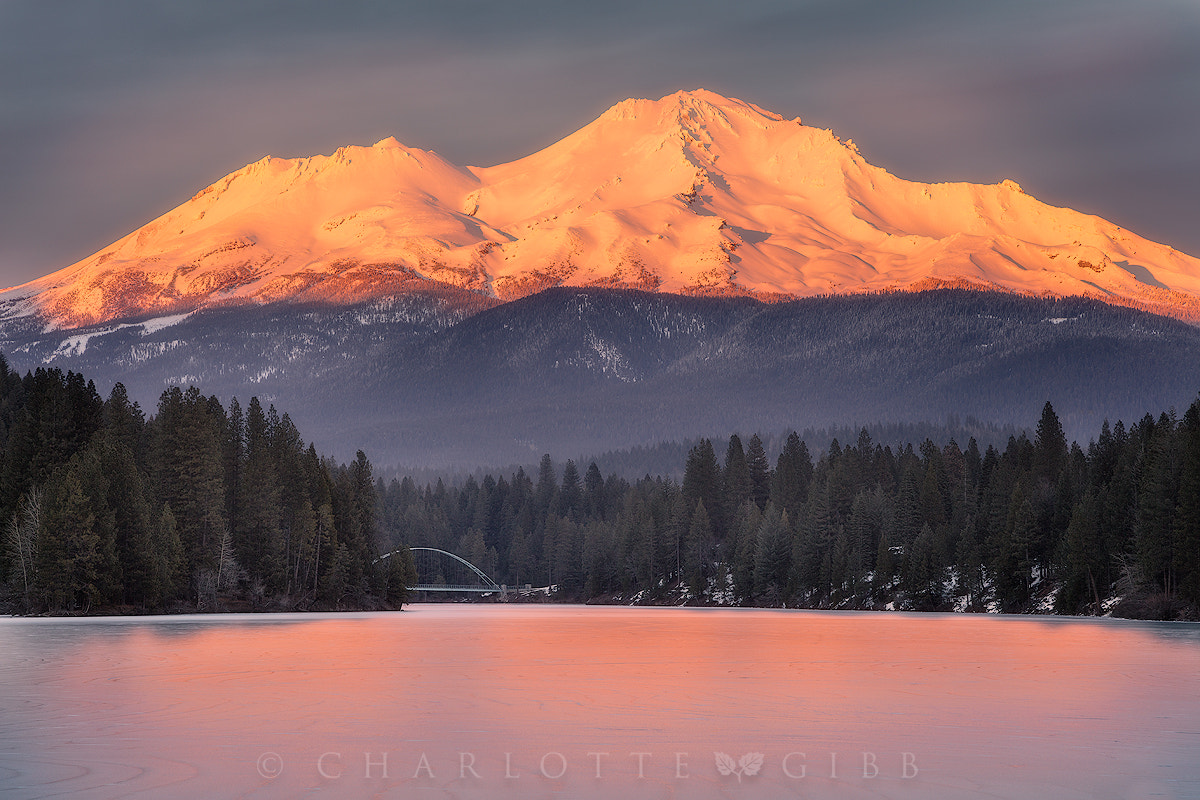 Canon EOS 5DS R sample photo. Fire on the mountain photography