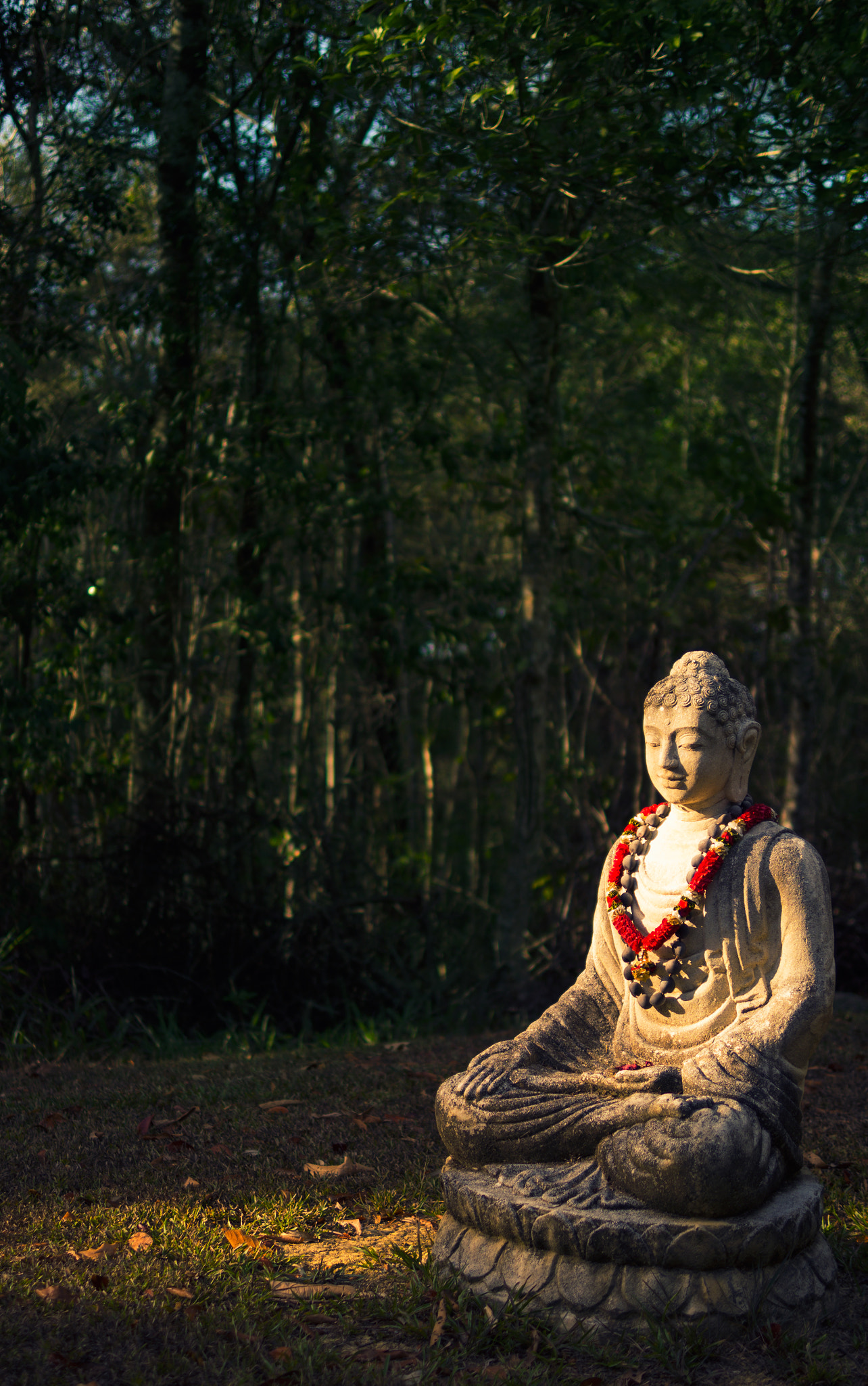 Panasonic Leica DG Summilux 25mm F1.4 II ASPH sample photo. Quiet and peaceful photography