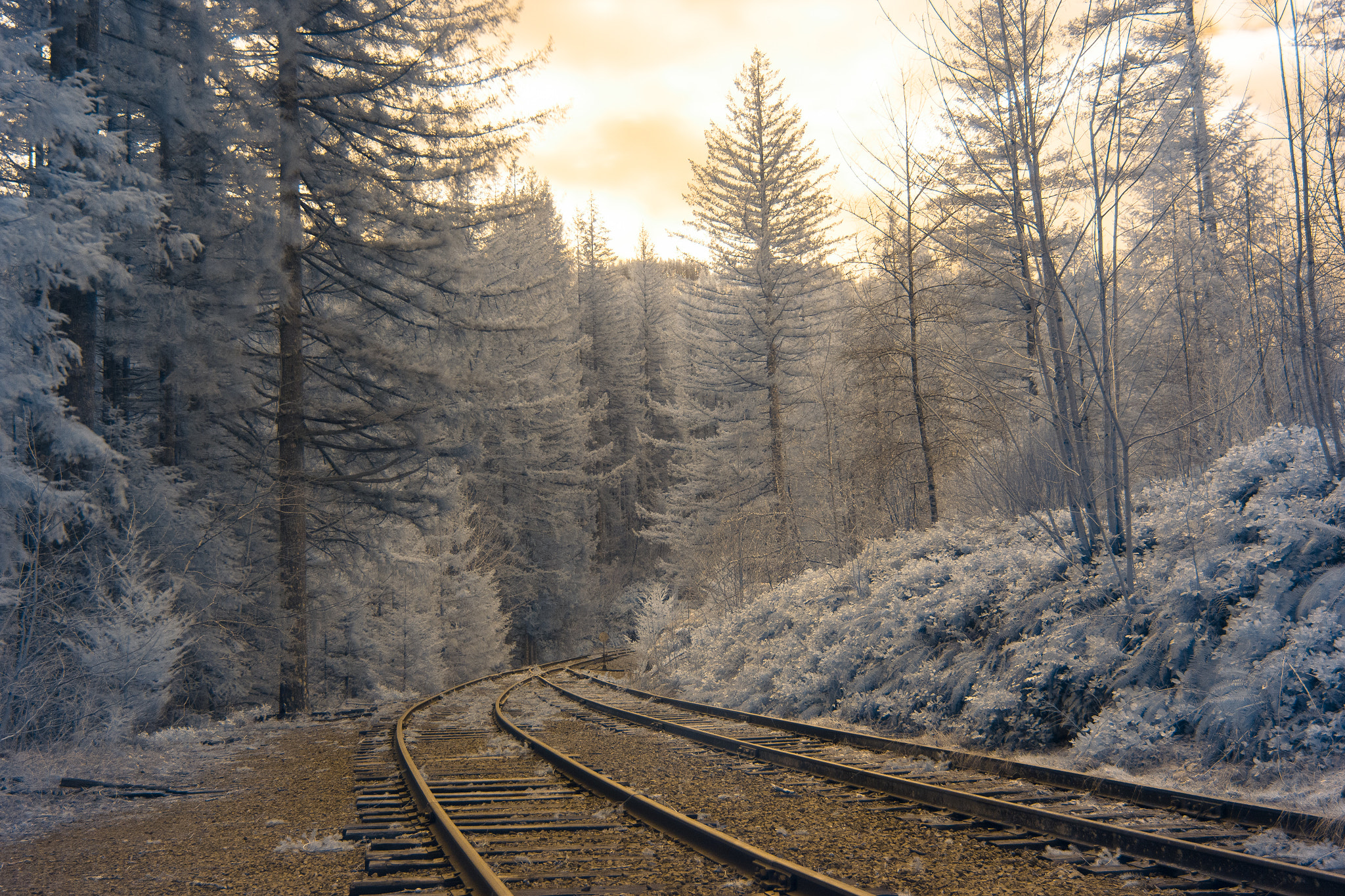 Canon EF-S 24mm F2.8 STM sample photo. Railway photography