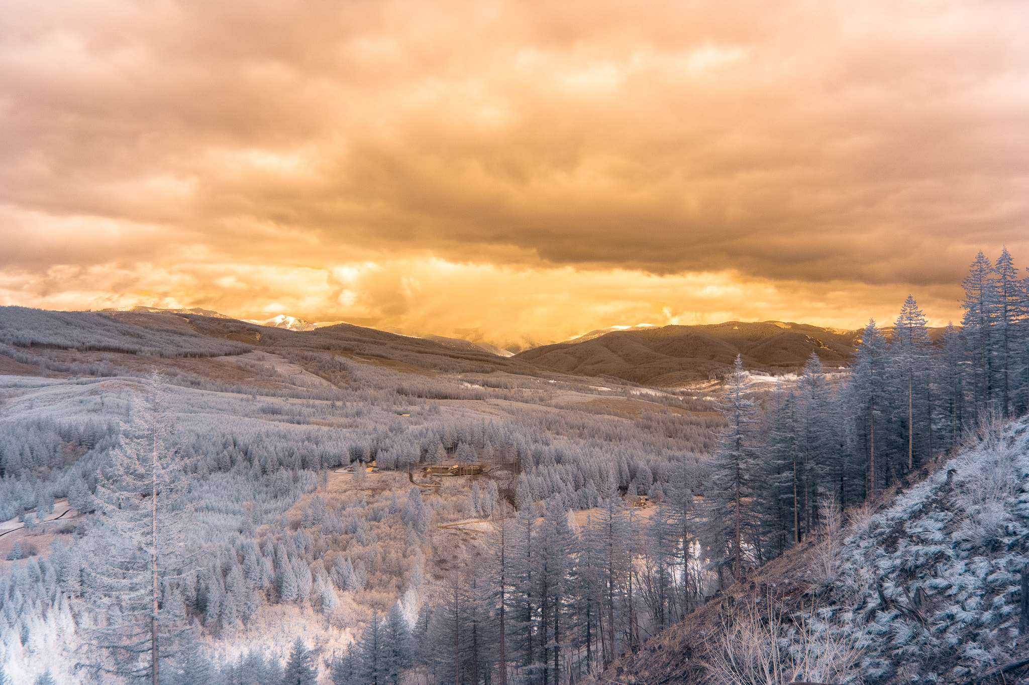 Canon EF-S 24mm F2.8 STM sample photo. Overlook photography