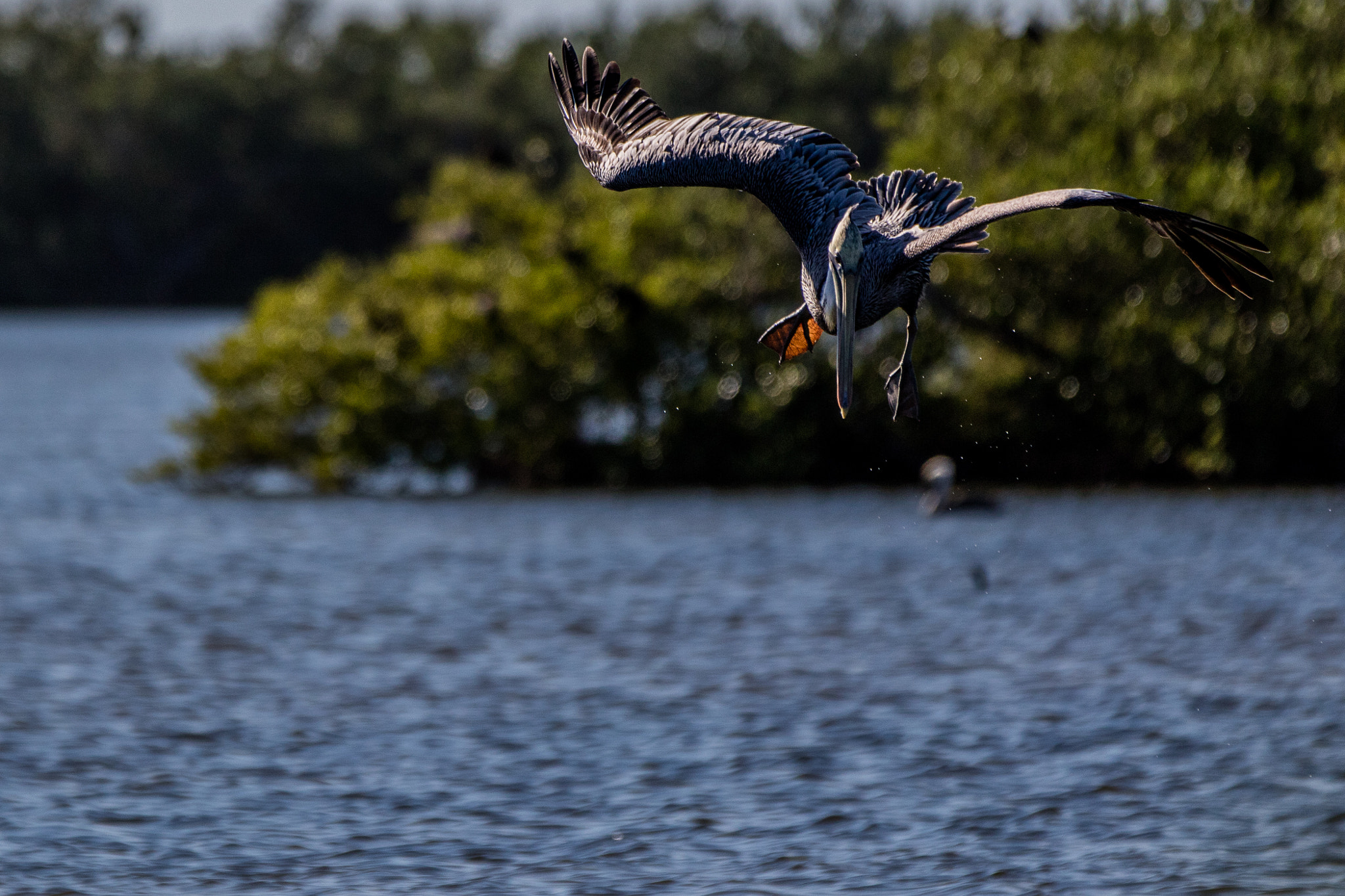 Canon EF 70-200mm F2.8L IS II USM sample photo. Cuba b photography