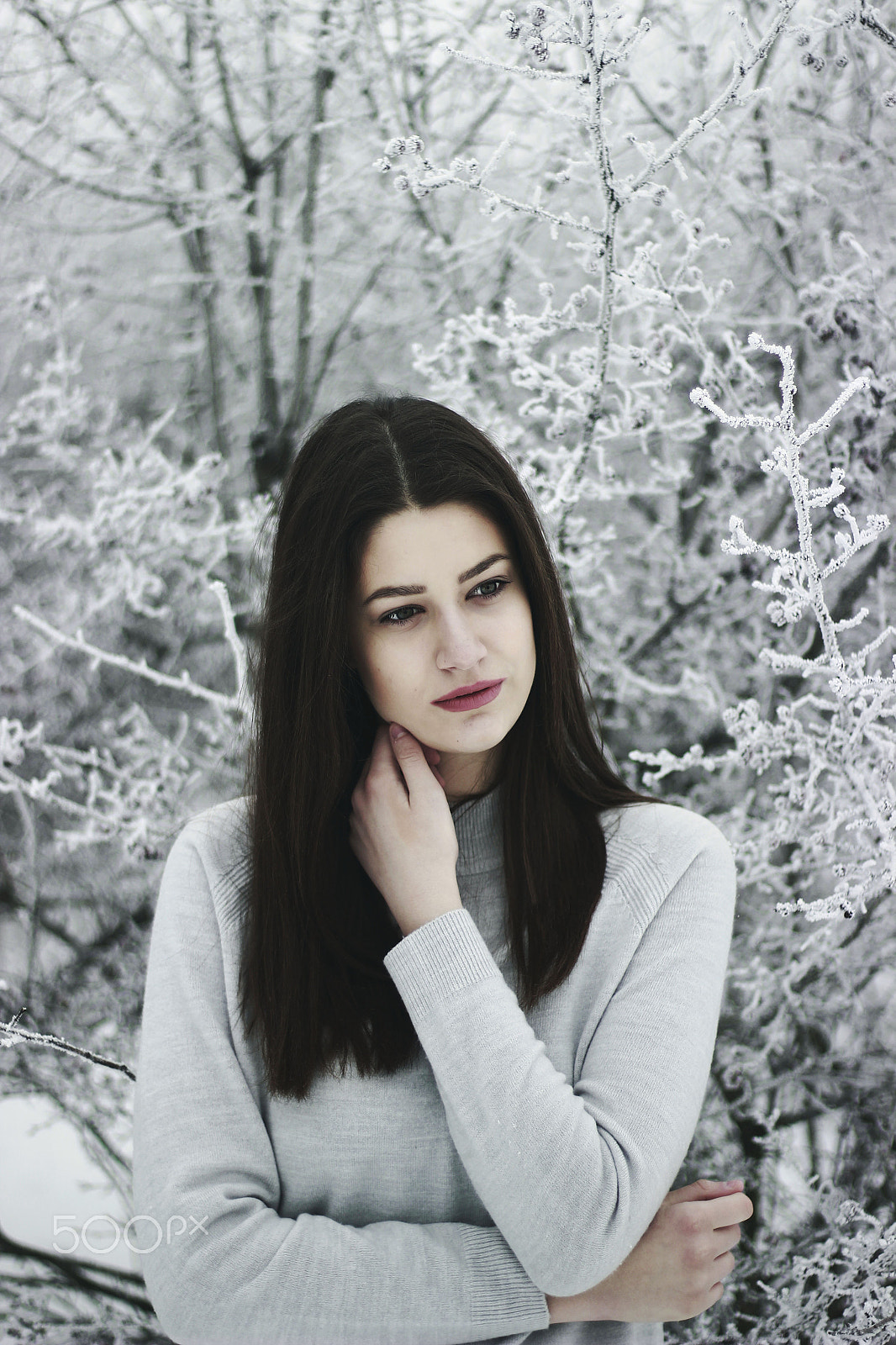 Canon EOS 600D (Rebel EOS T3i / EOS Kiss X5) sample photo. Cold beauty photography