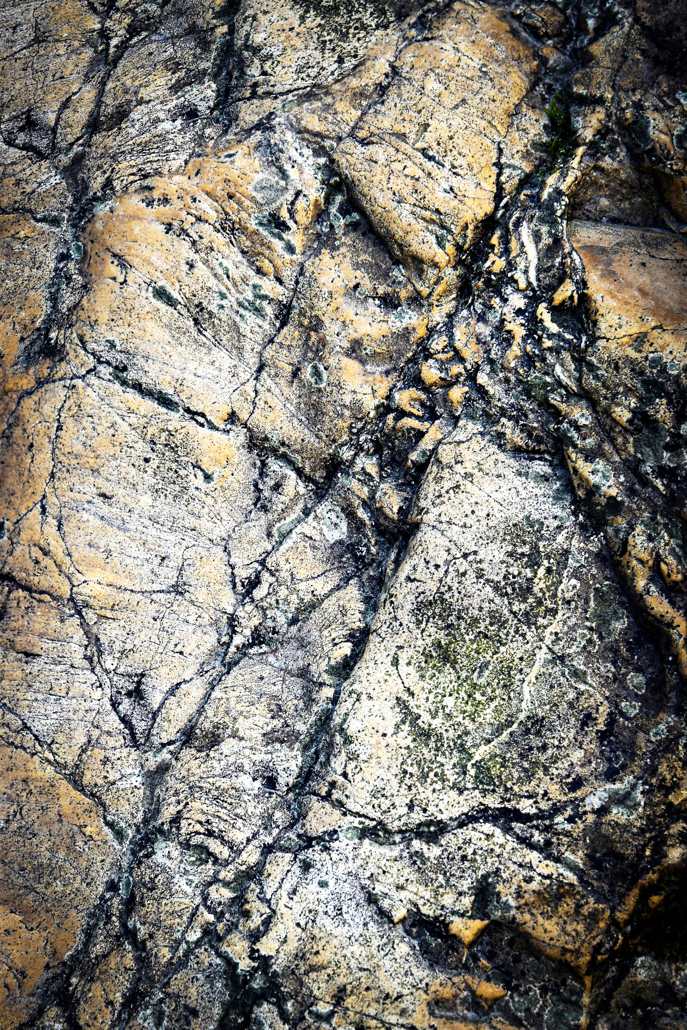 Nikon D5500 sample photo. Detail in dark orange colored rock photography