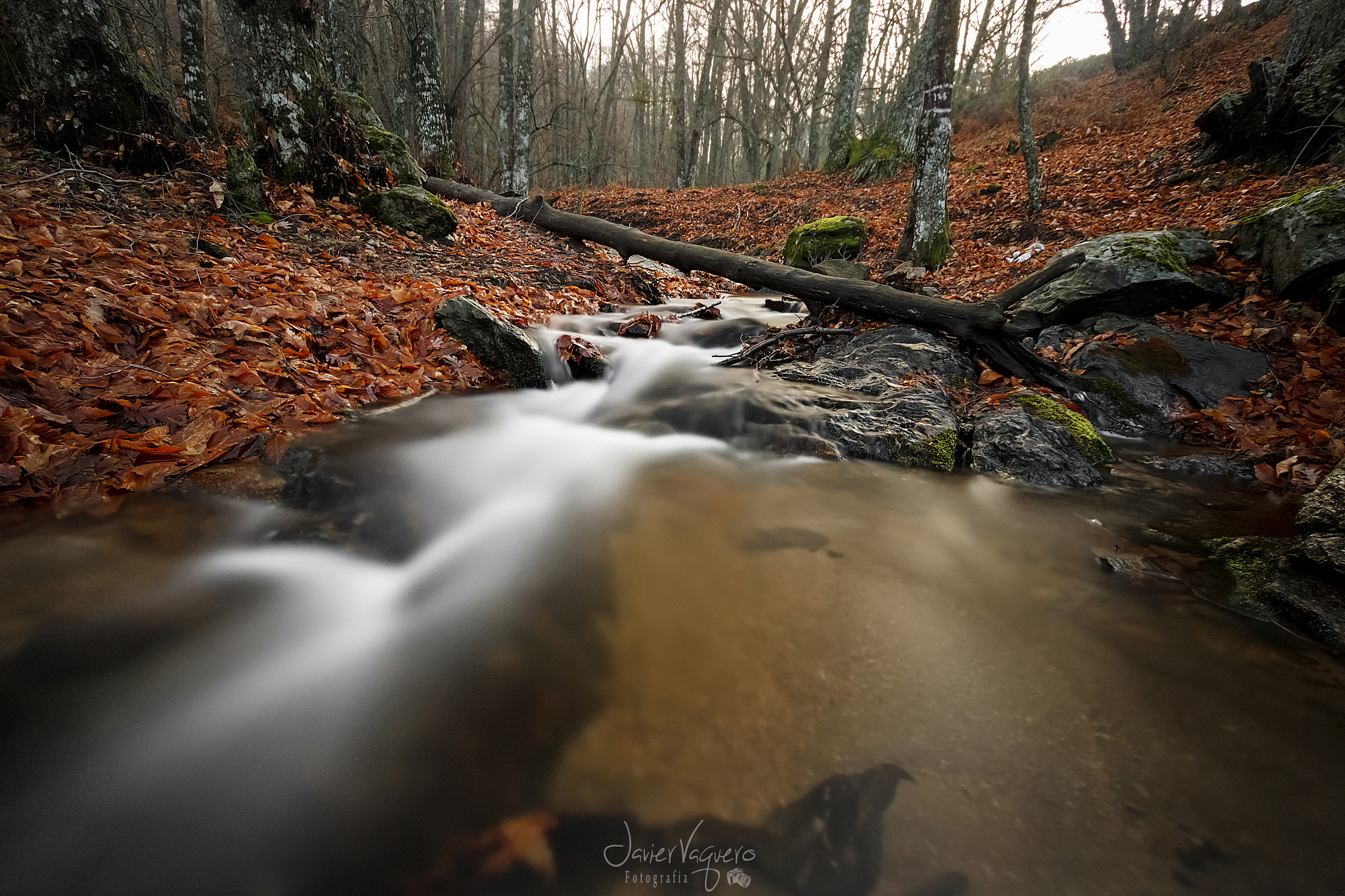 Canon EF-S 10-22mm F3.5-4.5 USM sample photo. Y nunca pares de correr...don't stop run  photography
