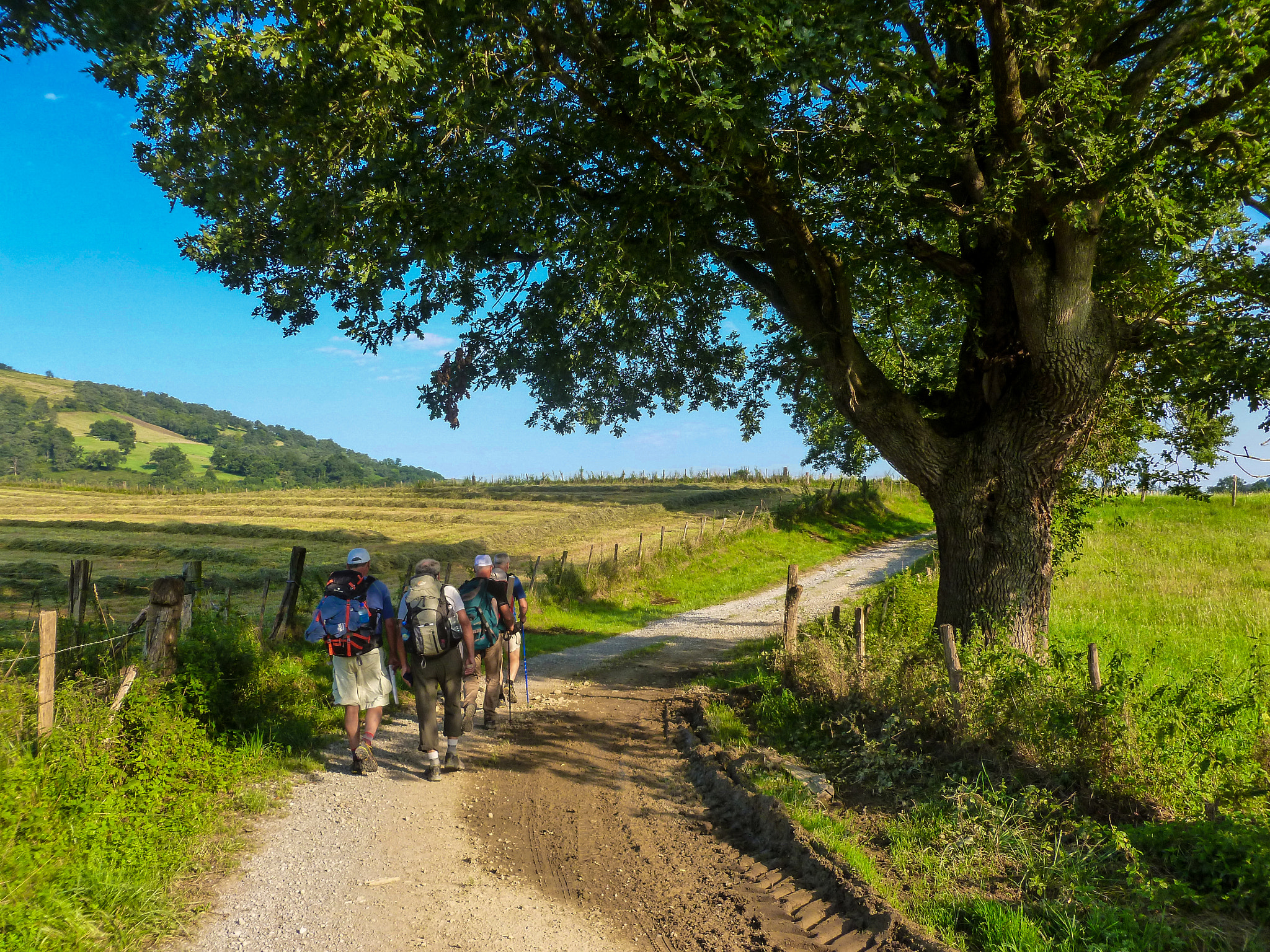 Panasonic Lumix DMC-FH25 (Lumix DMC-FS35) sample photo. Pilgrims on their way photography