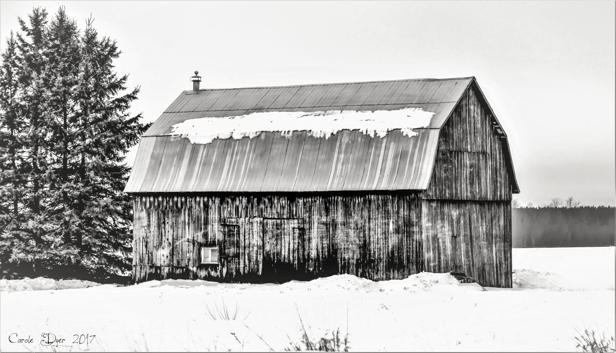 Nikon D3200 sample photo. Barn in b&w photography