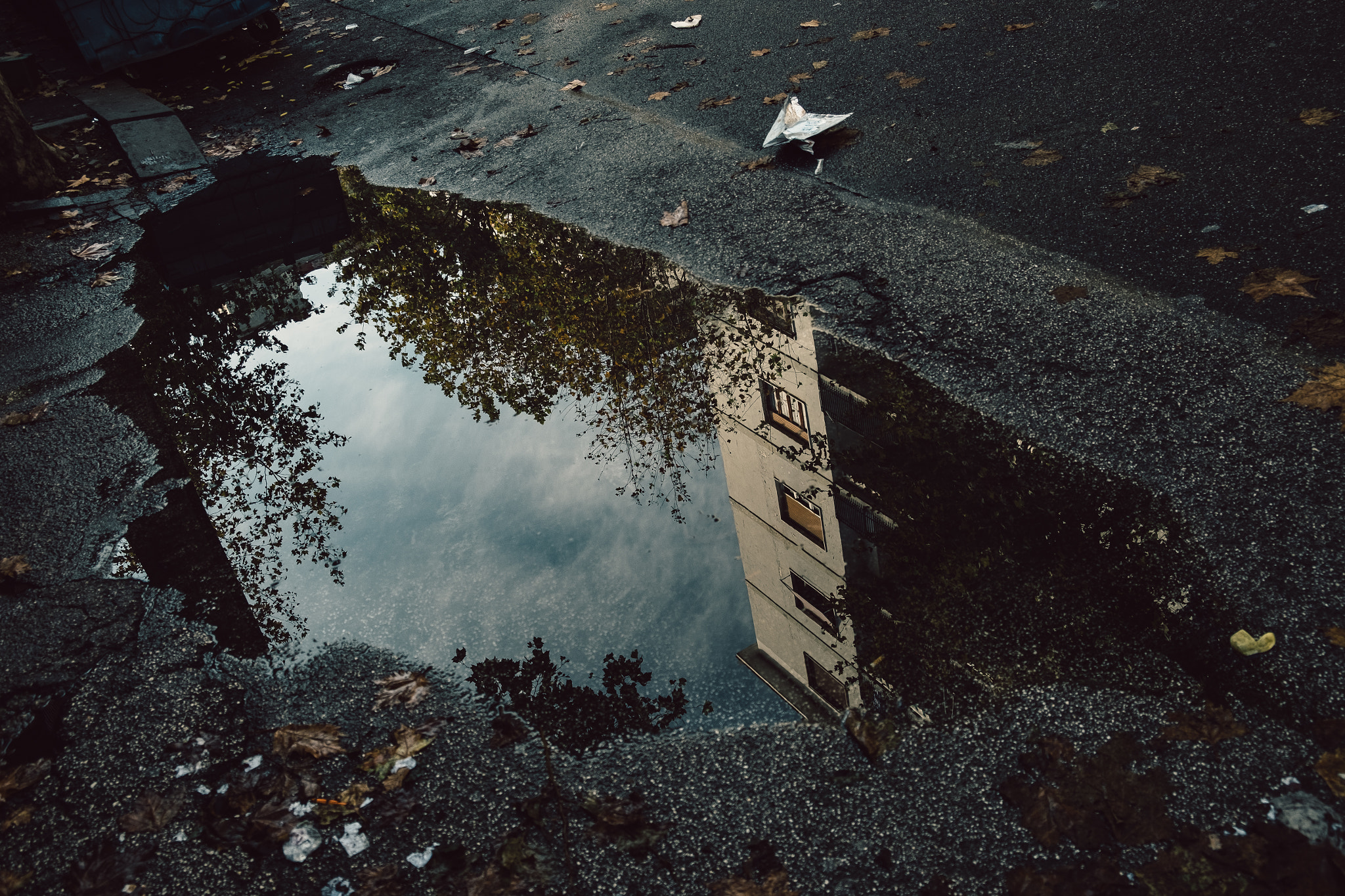 Fujifilm X-E2S + Fujifilm XF 18-55mm F2.8-4 R LM OIS sample photo. After the rain photography