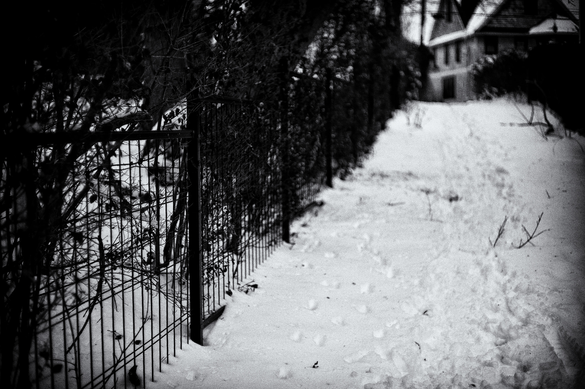 Leica M9 + Summilux-M 50mm f/1.4 (II) sample photo. The house at lane's end photography