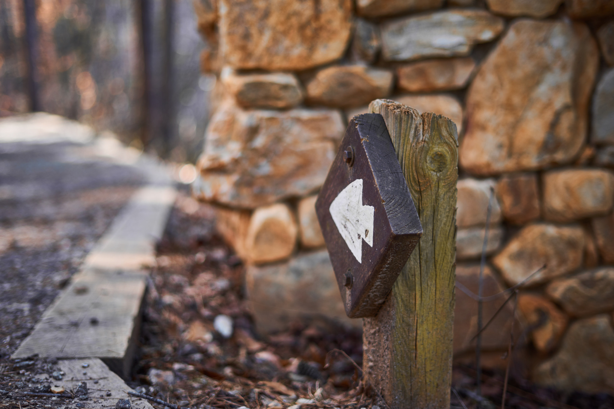 Sony a7R + Sony FE 50mm F1.8 sample photo. Waypoint photography