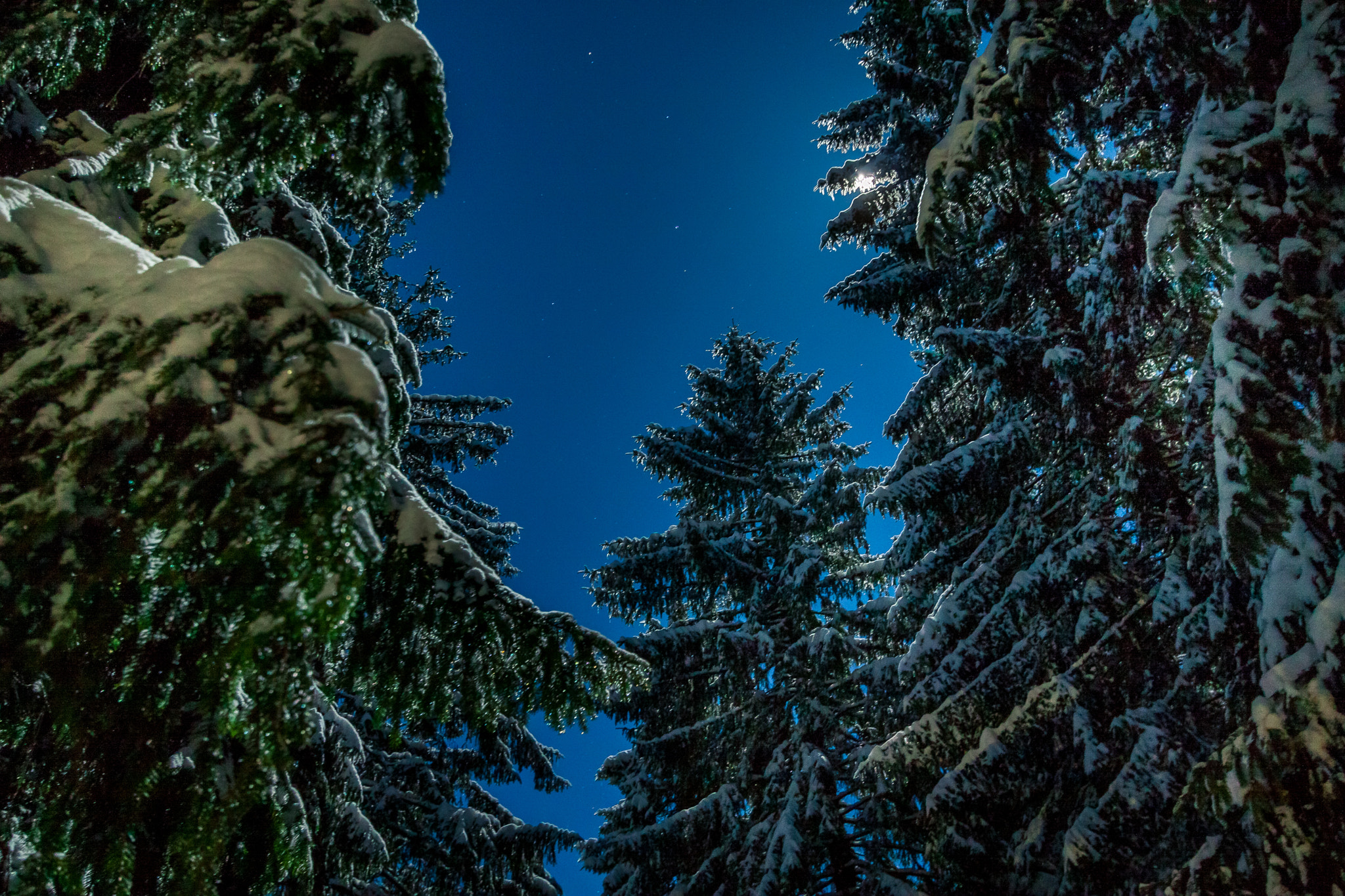 Canon EF-S 10-22mm F3.5-4.5 USM sample photo. Moonlight through the trees hdr photography