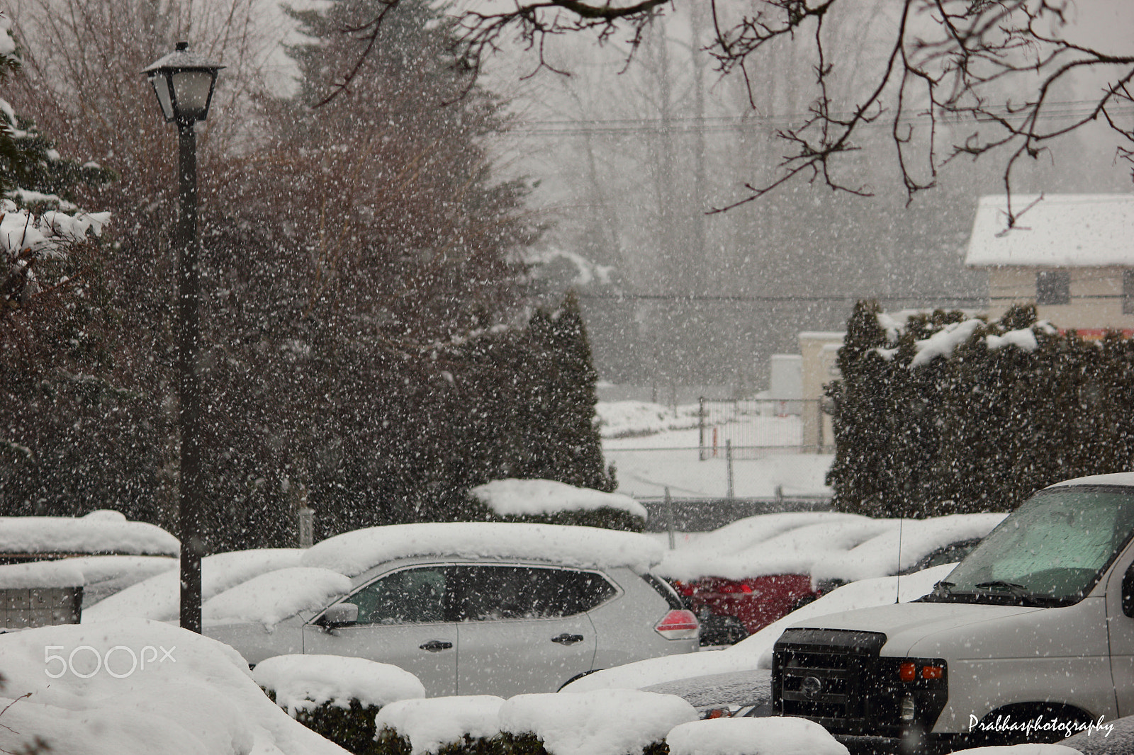 Canon EOS 550D (EOS Rebel T2i / EOS Kiss X4) sample photo. Snowing! :) photography
