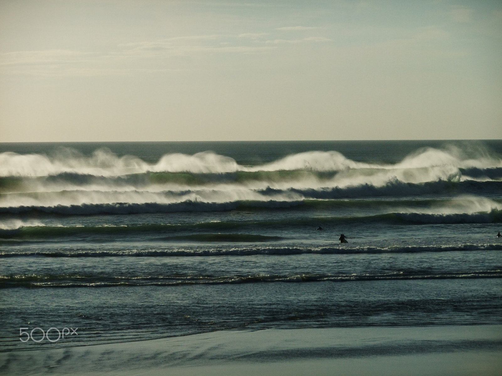 FujiFilm FinePix F70EXR (FinePix F75EXR) sample photo. White horses photography