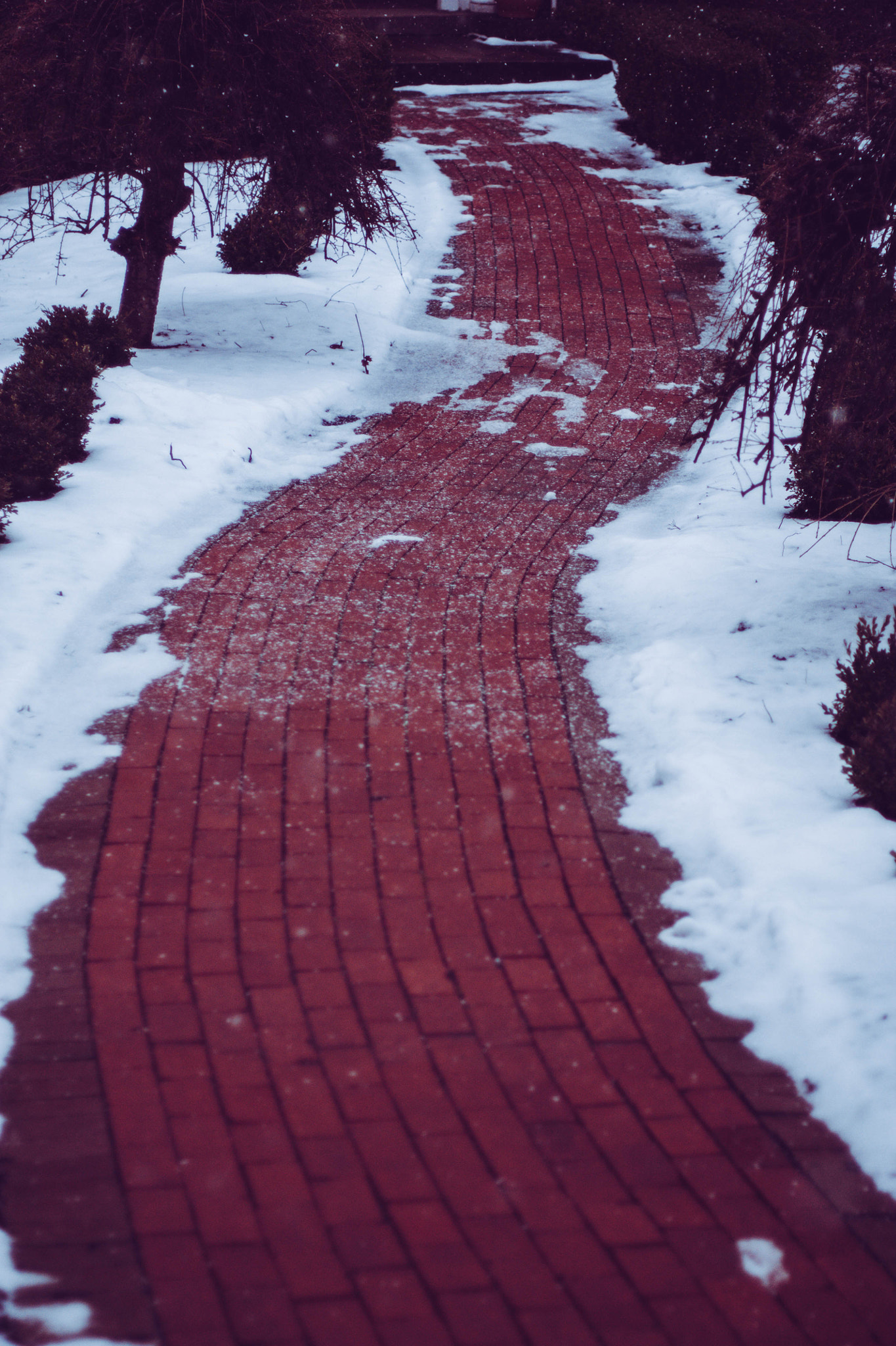 Canon EOS 450D (EOS Rebel XSi / EOS Kiss X2) sample photo. Red brick road photography