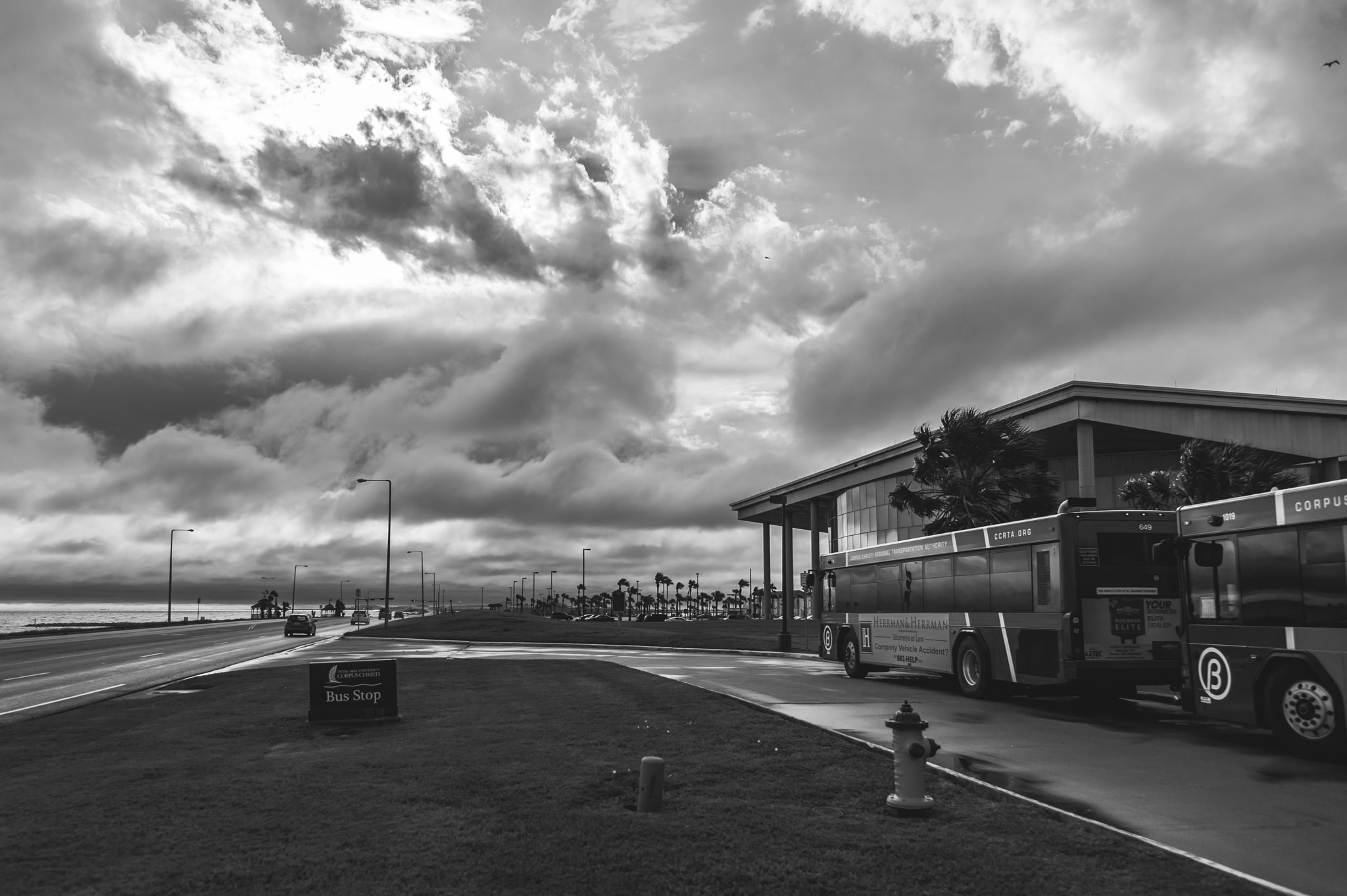 Nikon D3S sample photo. The buses bring students to their early morning classes. photography