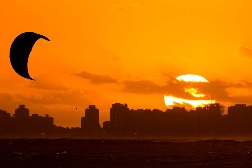 Sigma 150-500mm F5-6.3 DG OS HSM sample photo. [2444] punta del este, uruguay photography