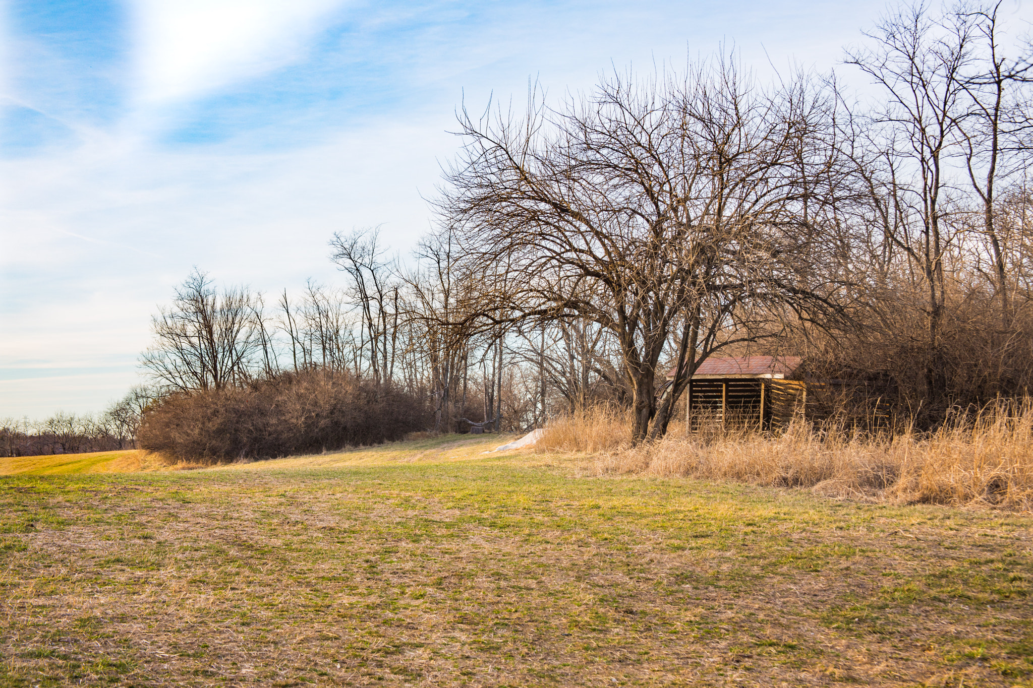 Canon EF 28-135mm F3.5-5.6 IS USM sample photo. Old shed photography