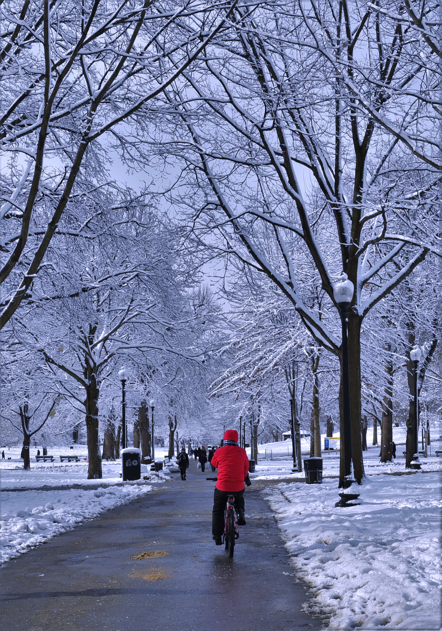 Nikon D4S sample photo. After the snow photography