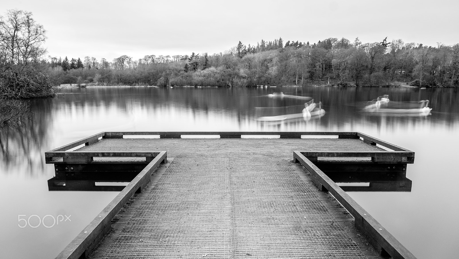 Fujifilm X-T1 + Fujifilm XC 16-50mm F3.5-5.6 OIS II sample photo. Bolam lake photography