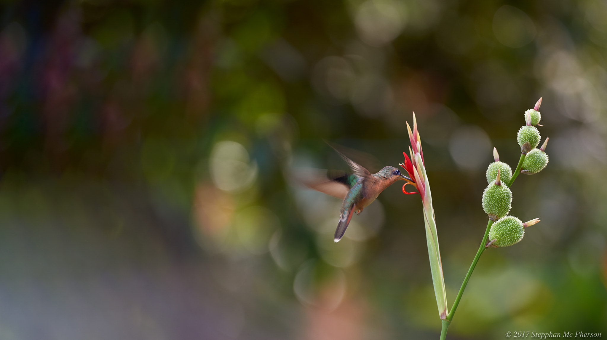 Nikon D810 sample photo. Perfect moment 1 photography