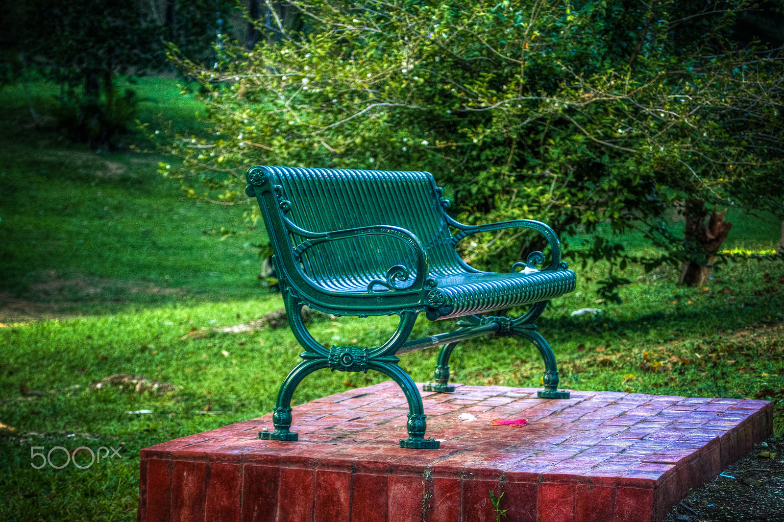 Canon EF 35-80mm f/4-5.6 sample photo. A bench at the park photography