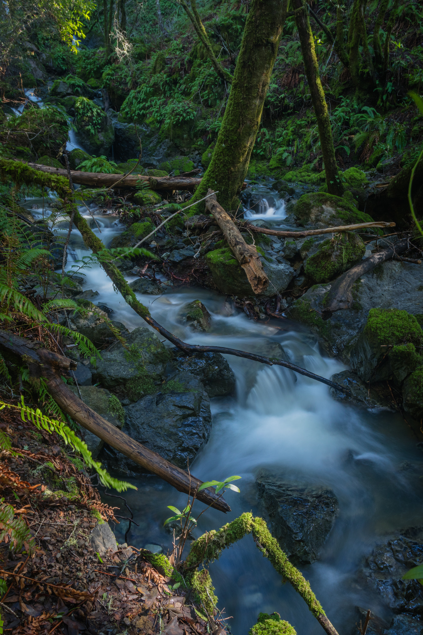 Canon EOS M3 + Canon EF 17-40mm F4L USM sample photo. Carson falls trail photography